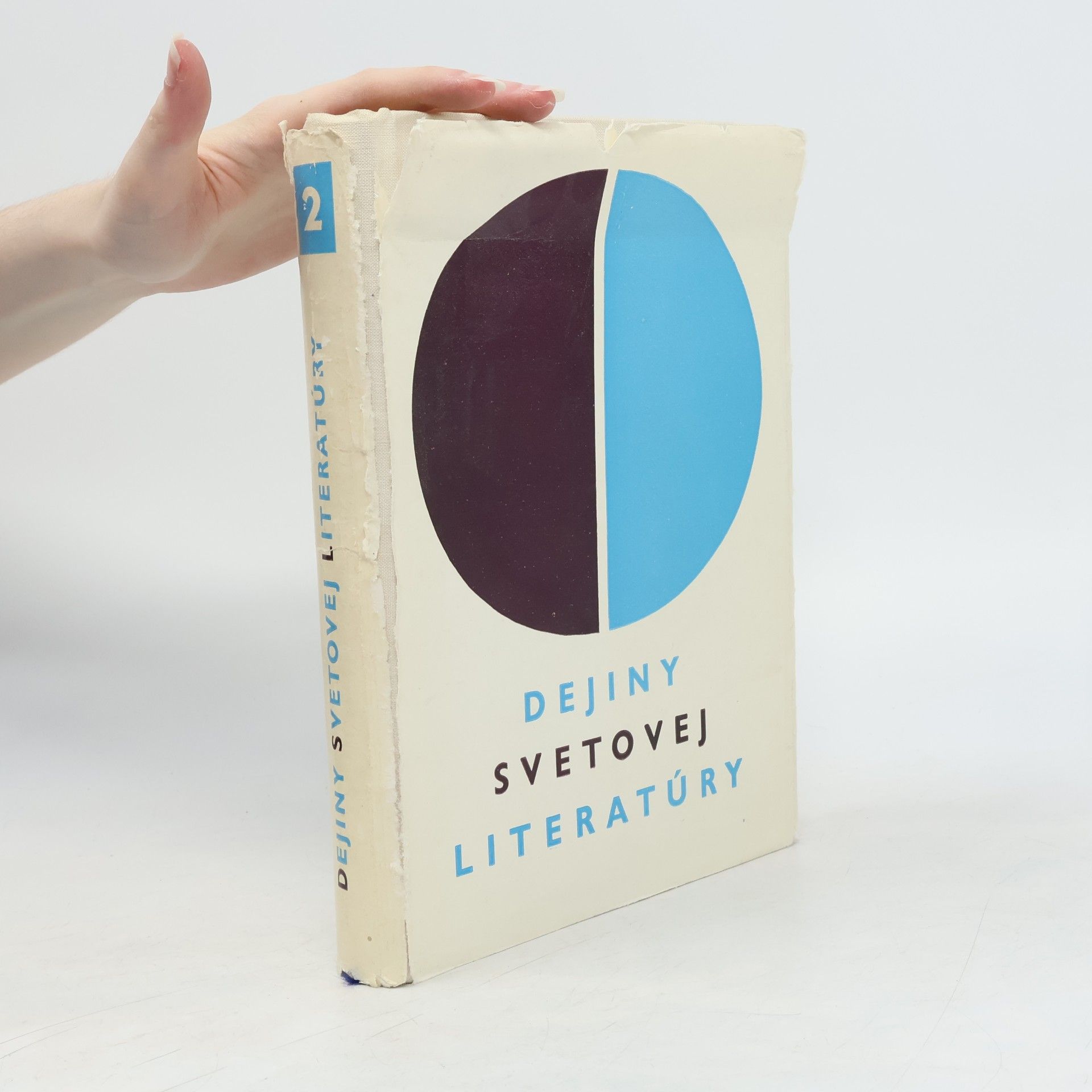Autorenkollektiv Dejiny svetovej literatúry