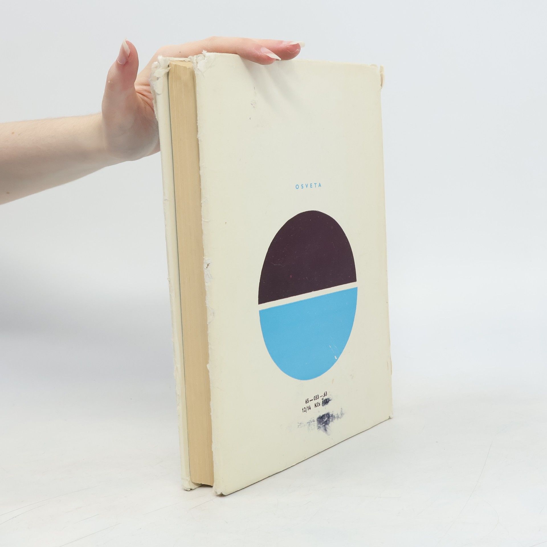 Autorenkollektiv Dejiny svetovej literatúry