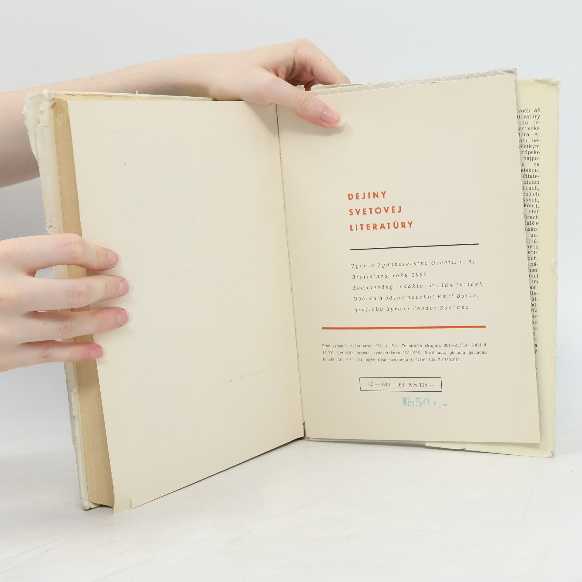 Autorenkollektiv Dejiny svetovej literatúry