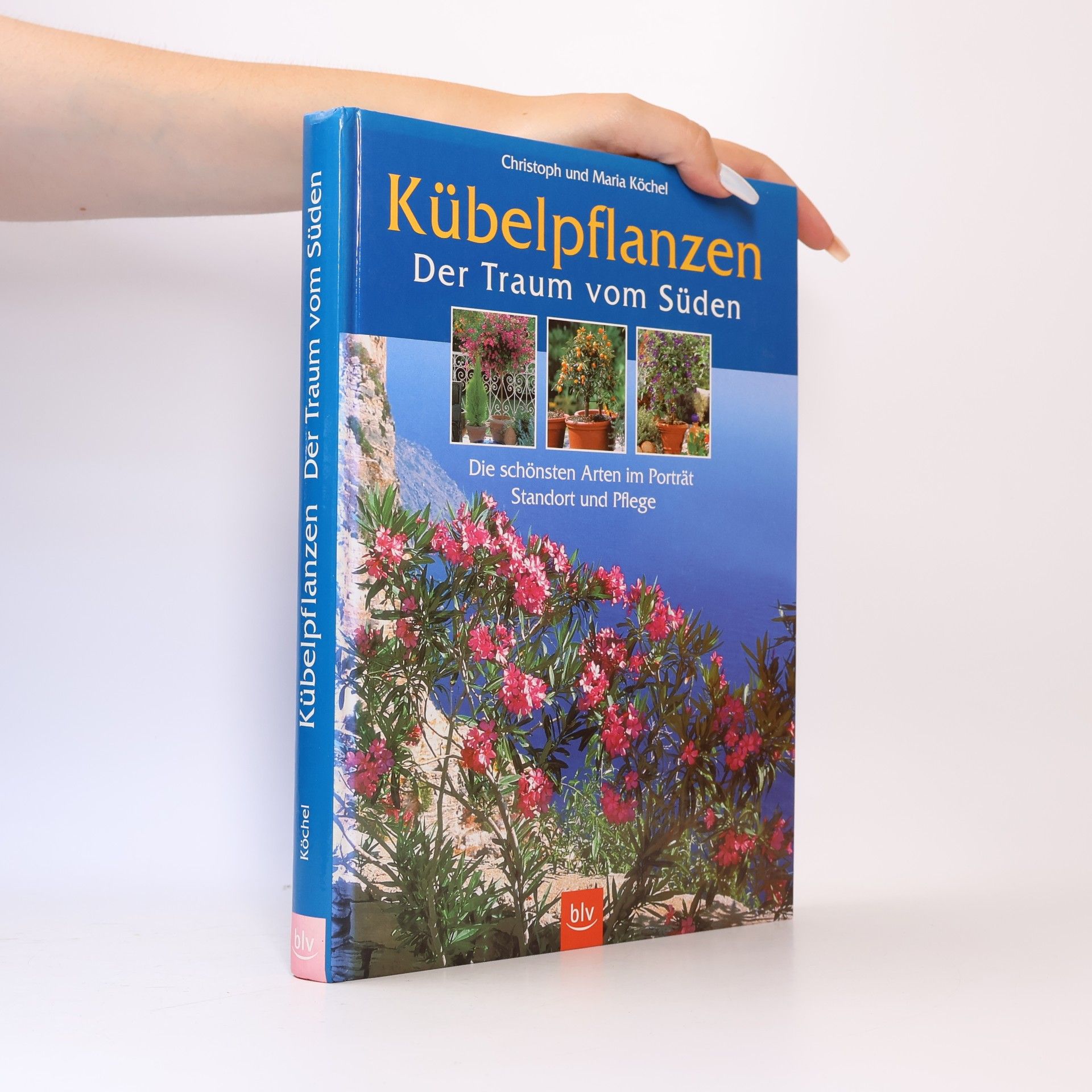 Christoph Köchel Kübelpflanzen