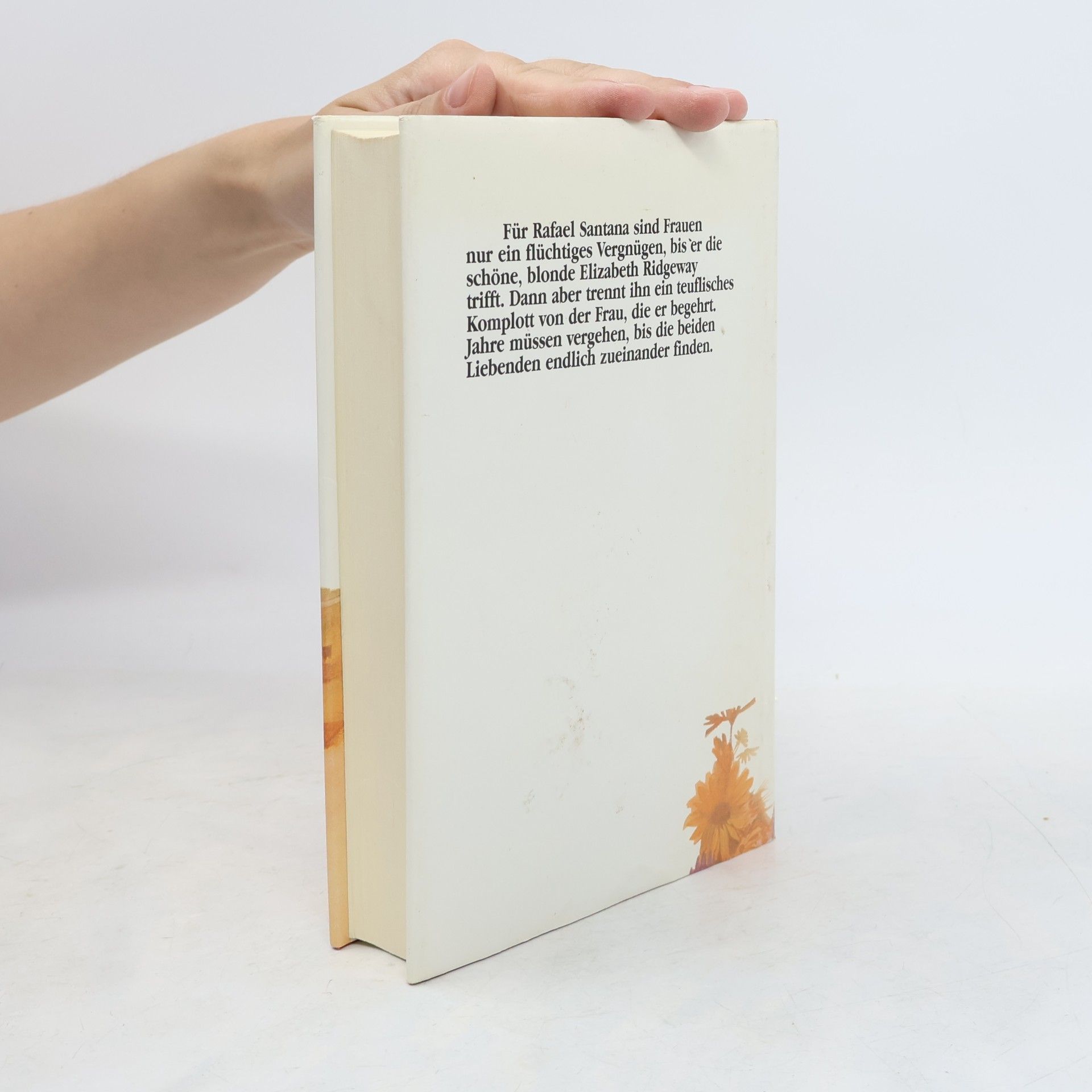 Shirlee Busbee Flammen der Sehnsucht