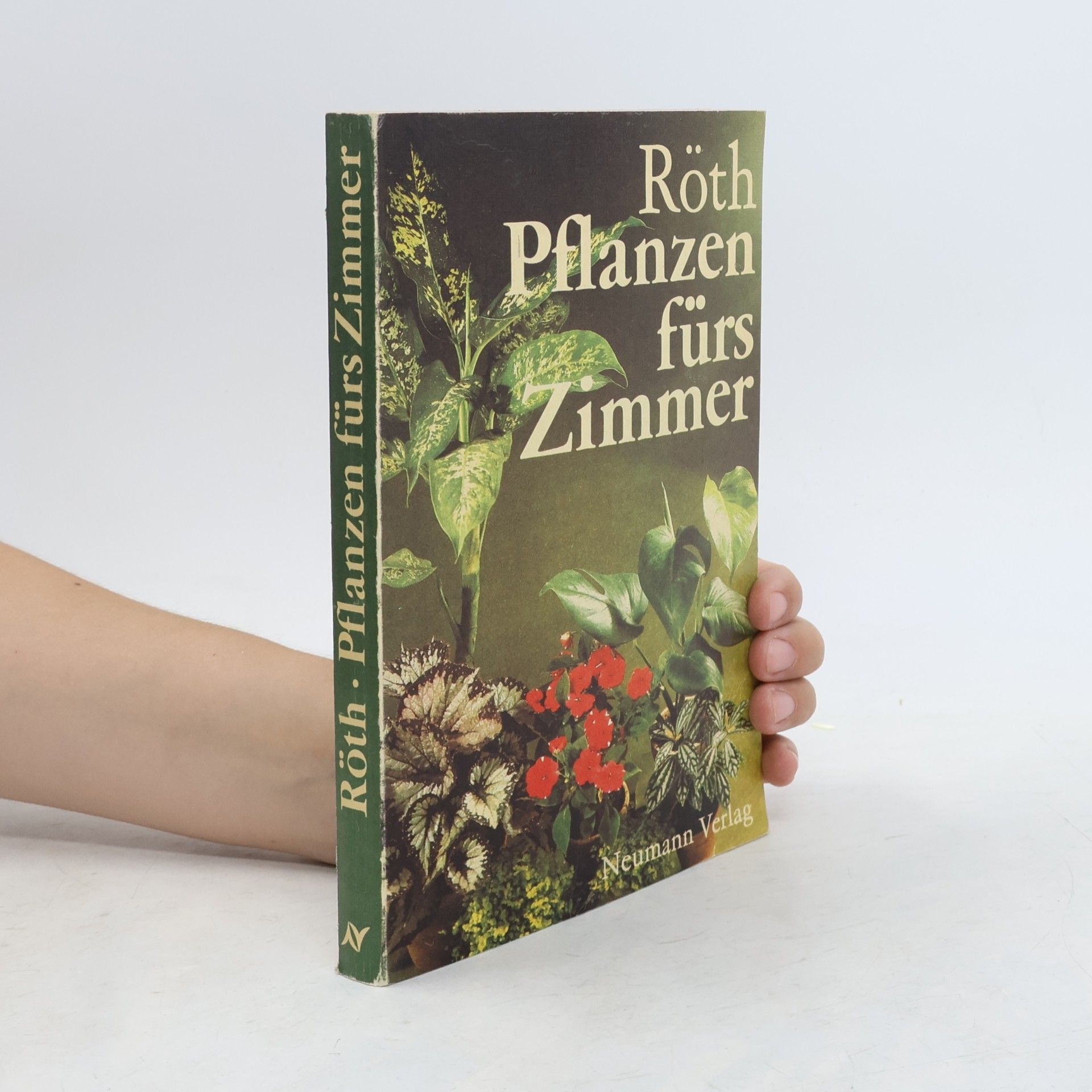 Jürgen Roth Pflanzen fürs Zimmer