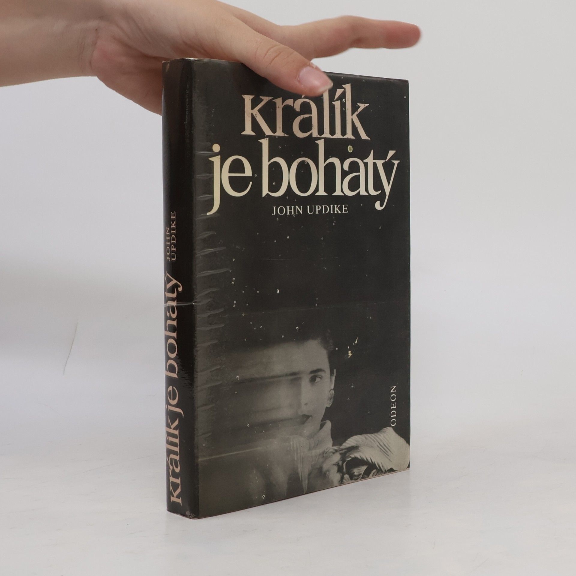 John Updike Králík je bohatý