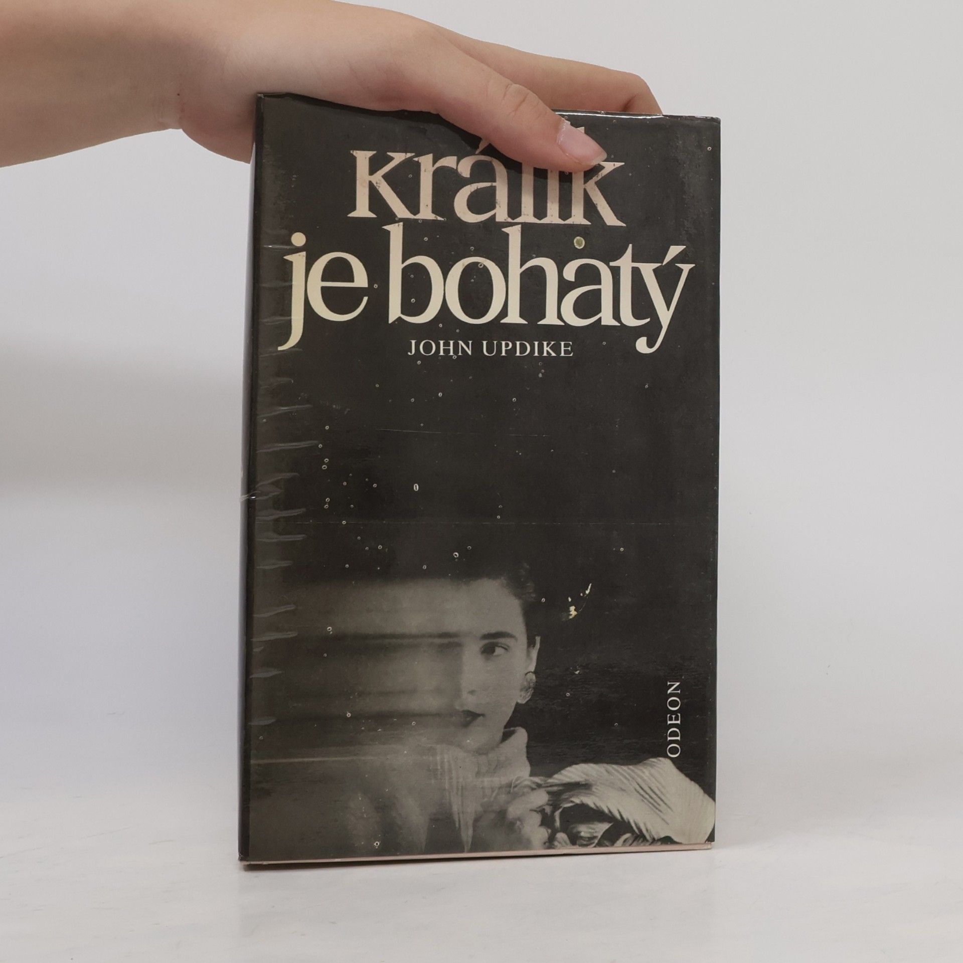 John Updike Králík je bohatý
