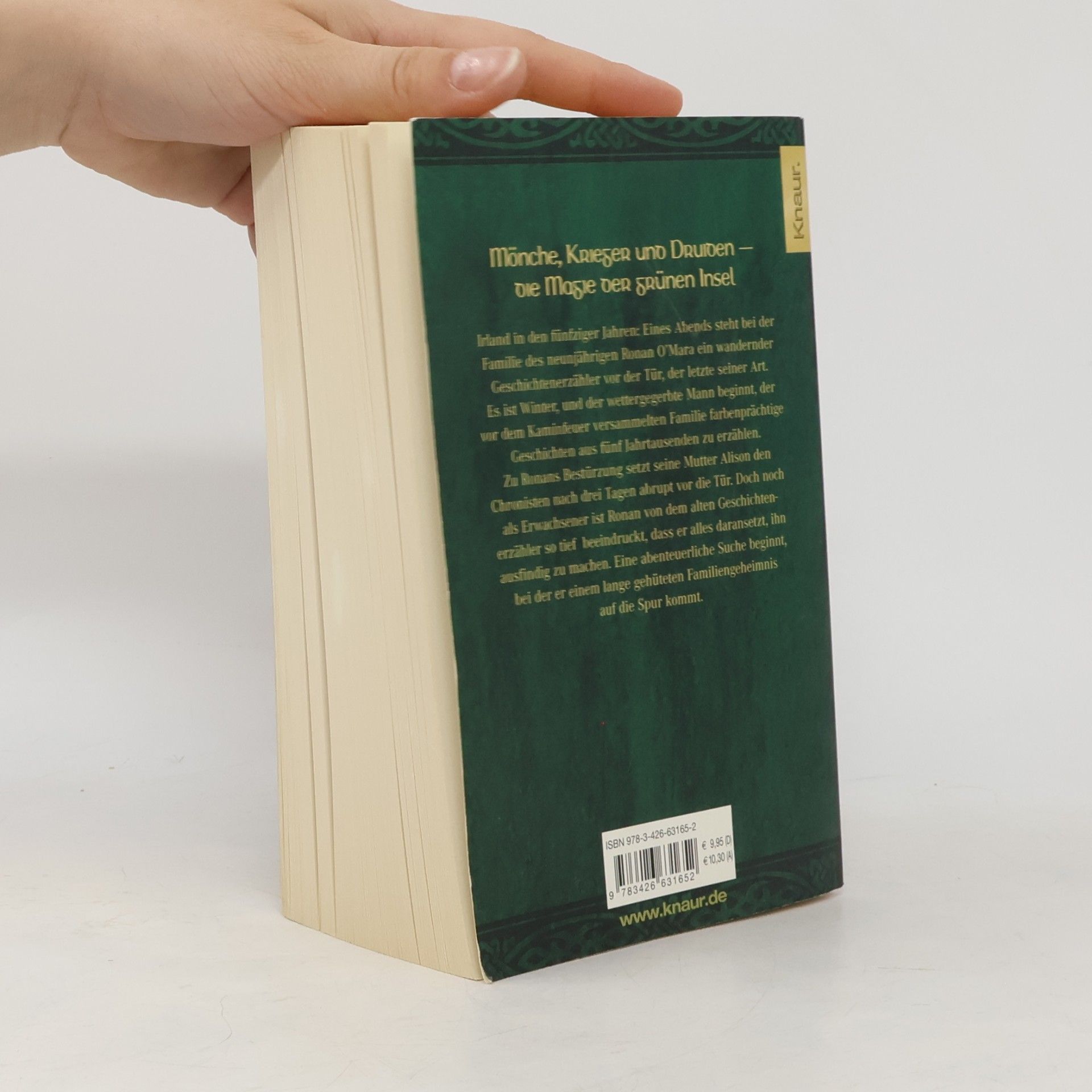 Frank Delaney Schwert und Harfe: Die grosse Irland-Saga