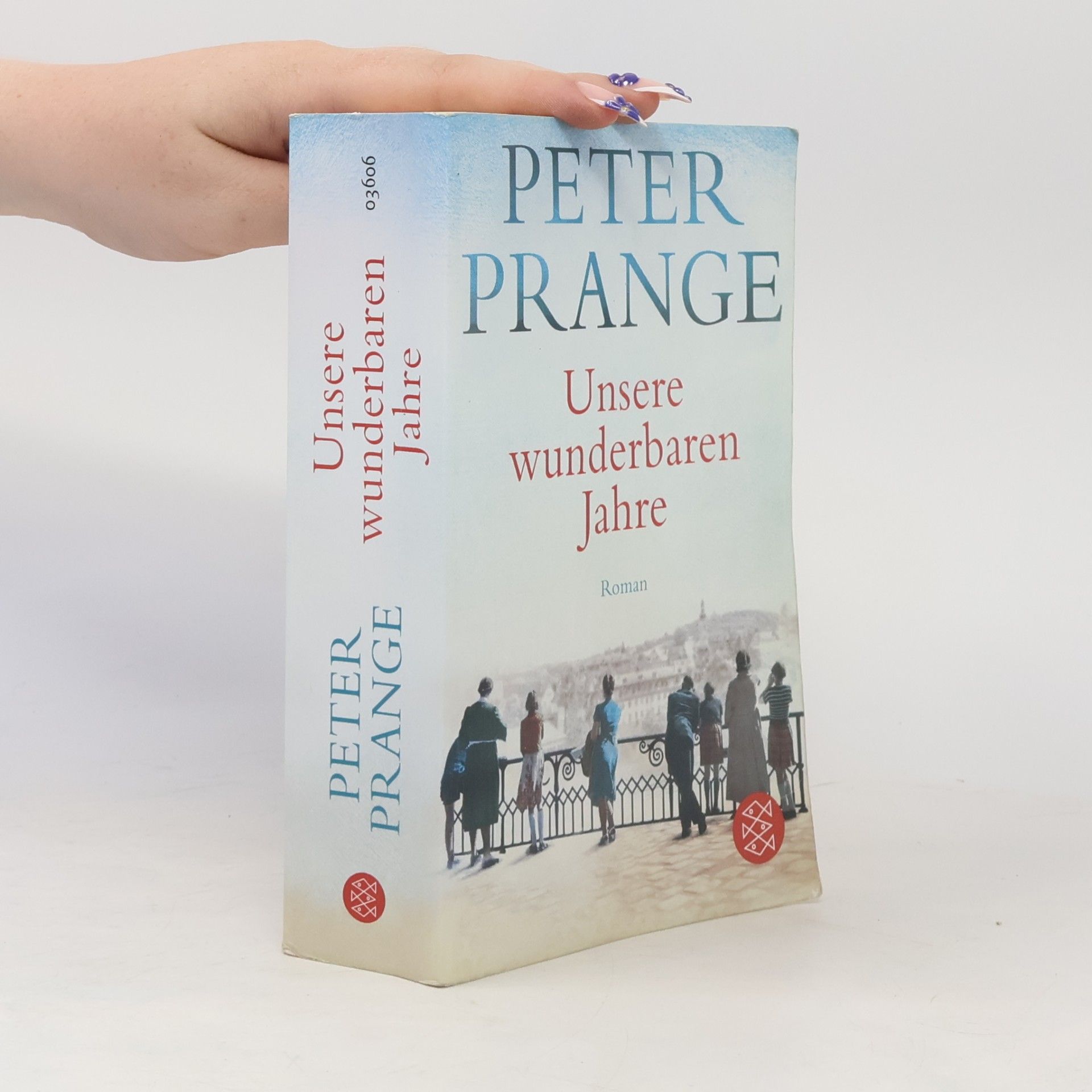 Peter Prange Unsere wunderbaren Jahre
