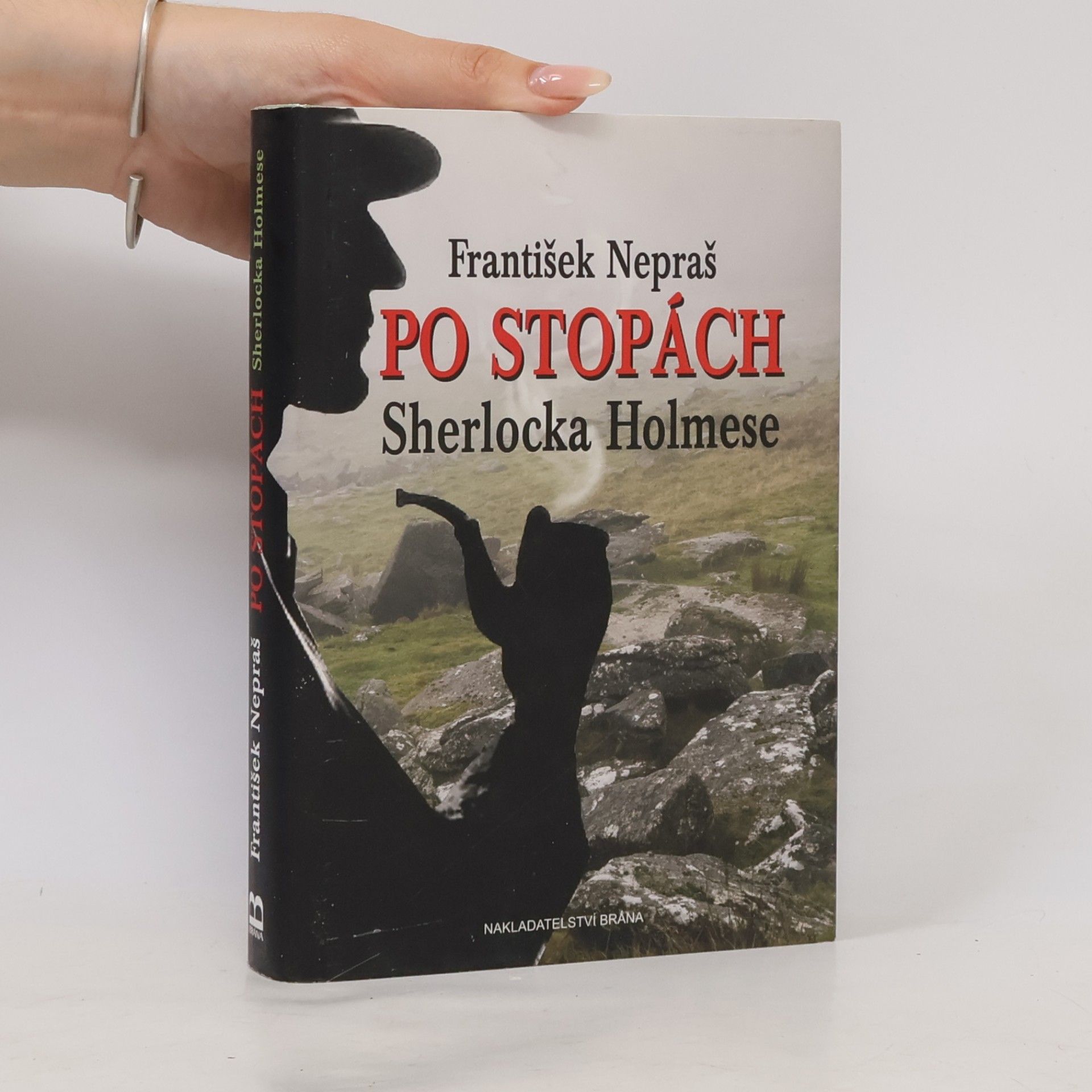 Po stopách Sherlocka Holmese: Dartmoorskými blaty za Psem baskervillským