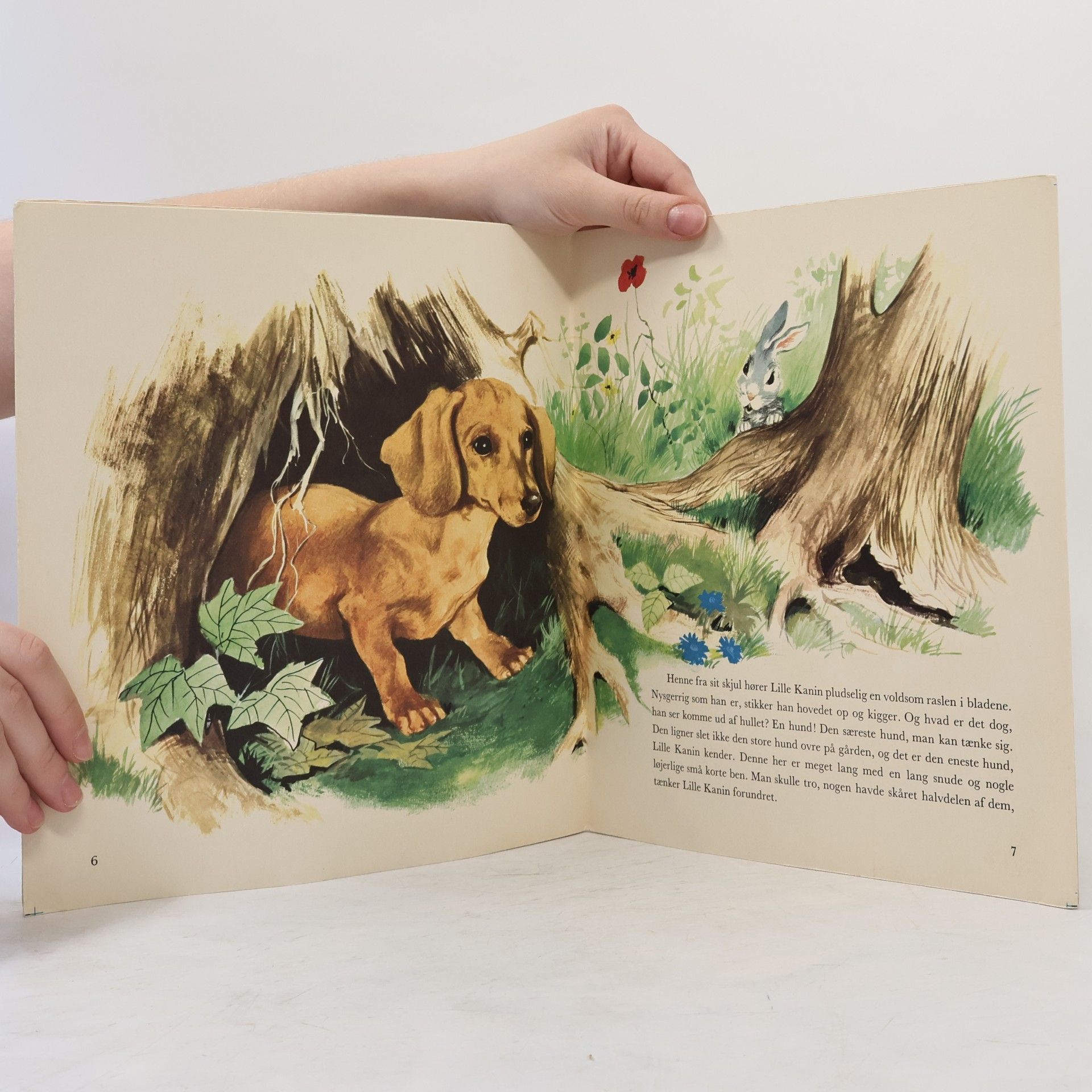 Paul Durand Lille Kanin og Hunden Strik
