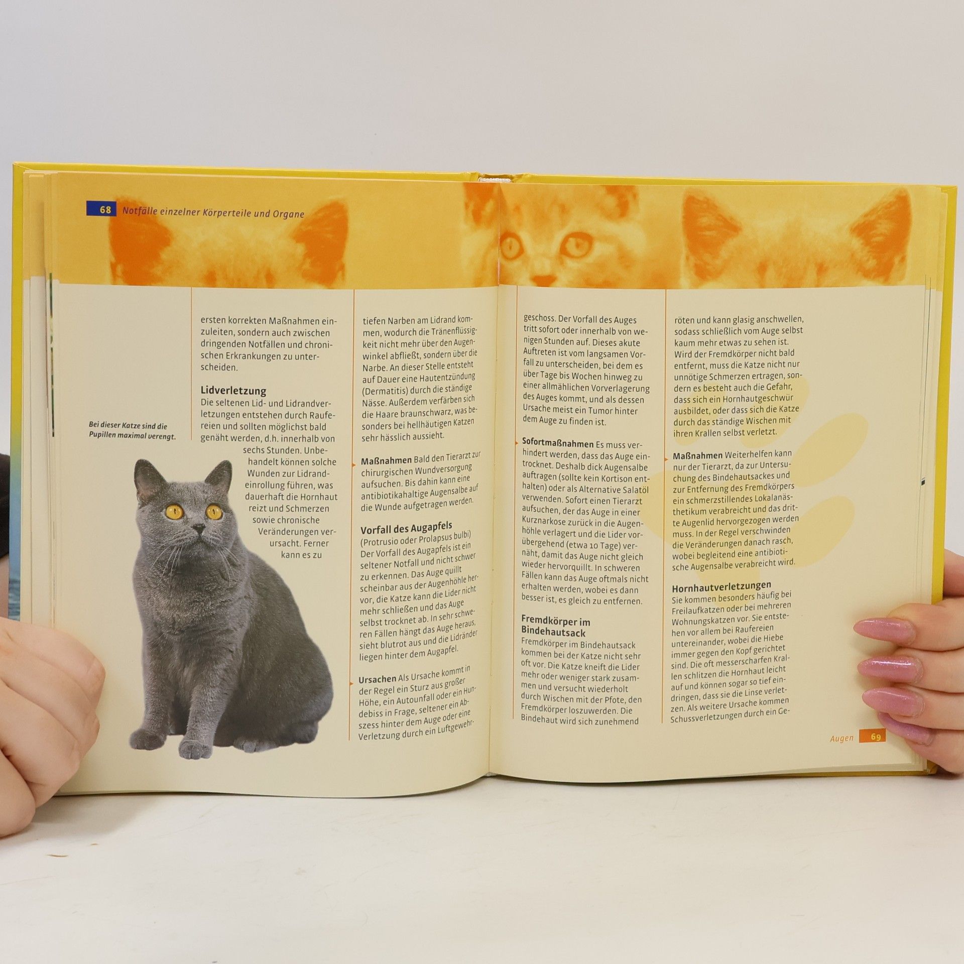Medea Rachel Mahkorn Erste Hilfe für meine Katze