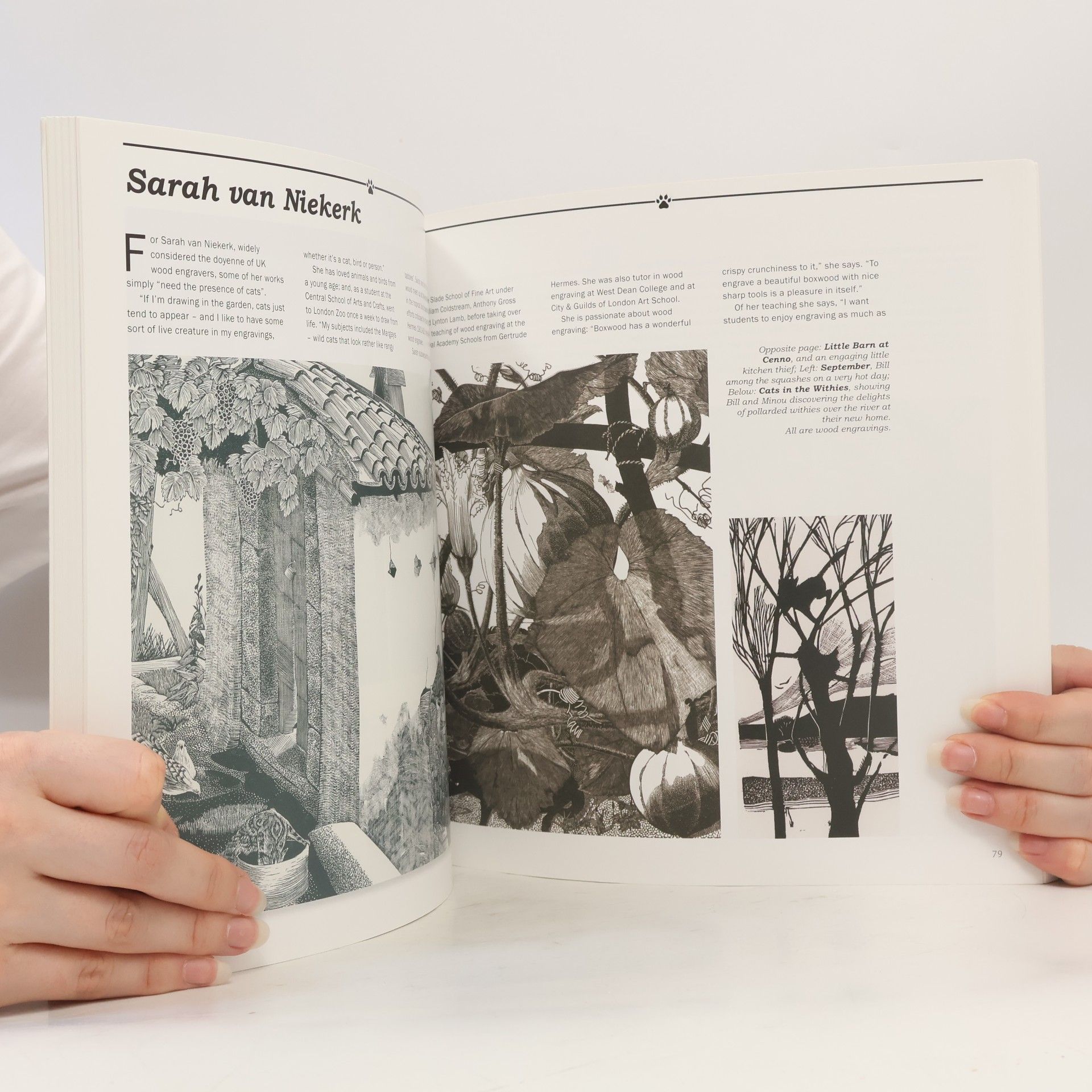 Alan Marshall The Printmaker's Cat: Revised & Extended Edition