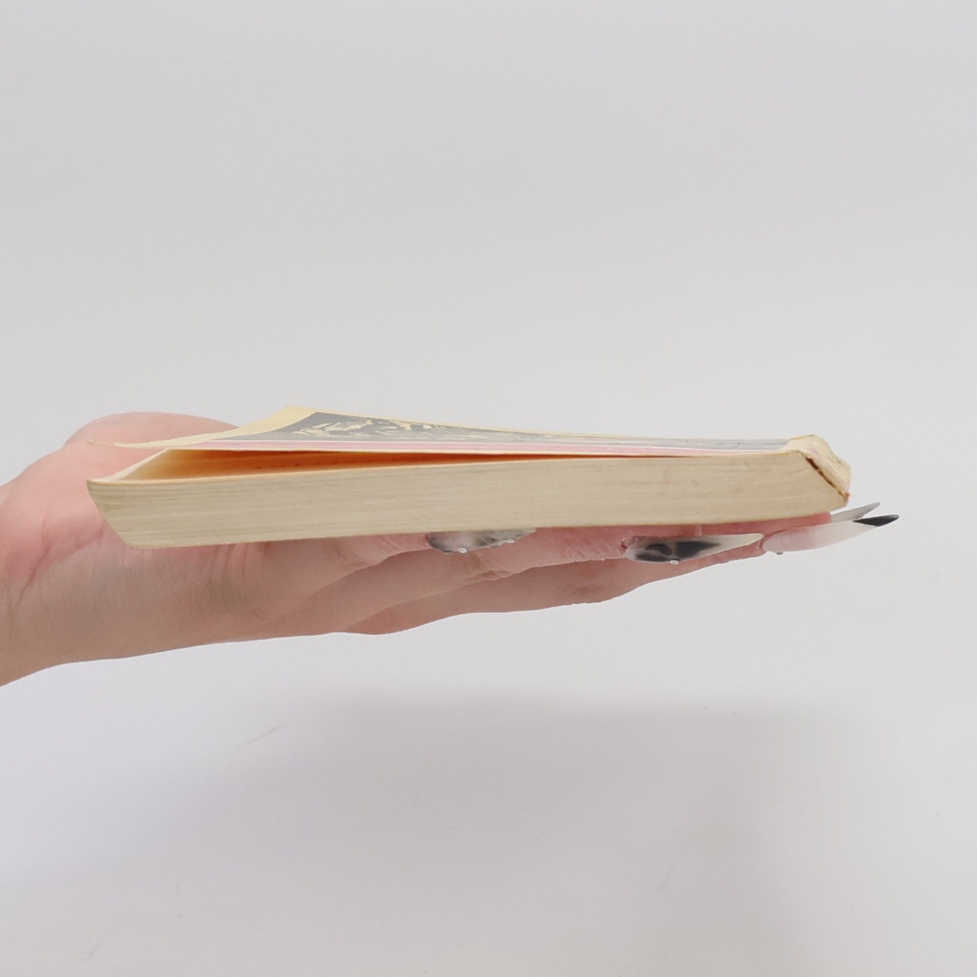 Vasil Bykav Žít do svítání