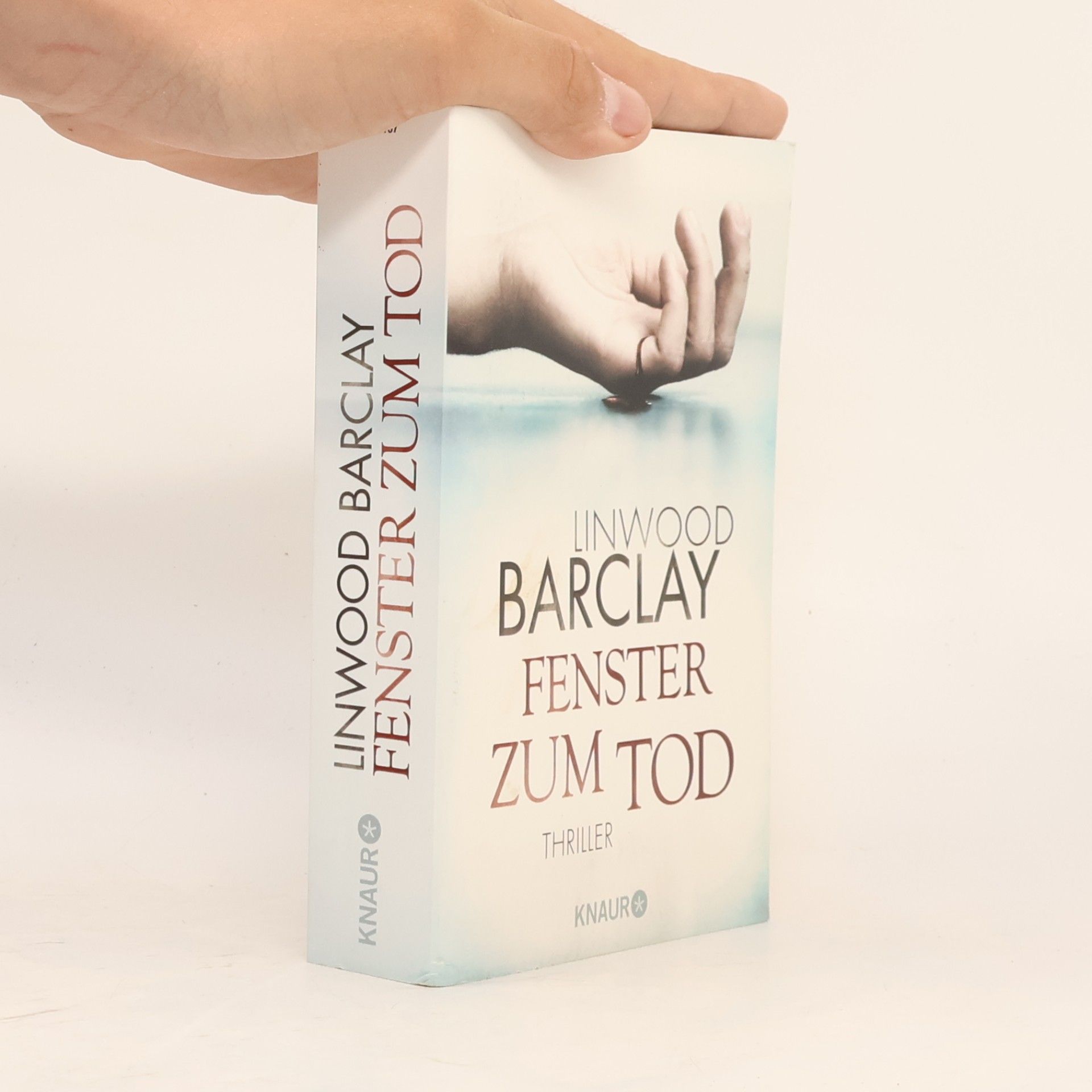Linwood Barclay Fenster zum Tod