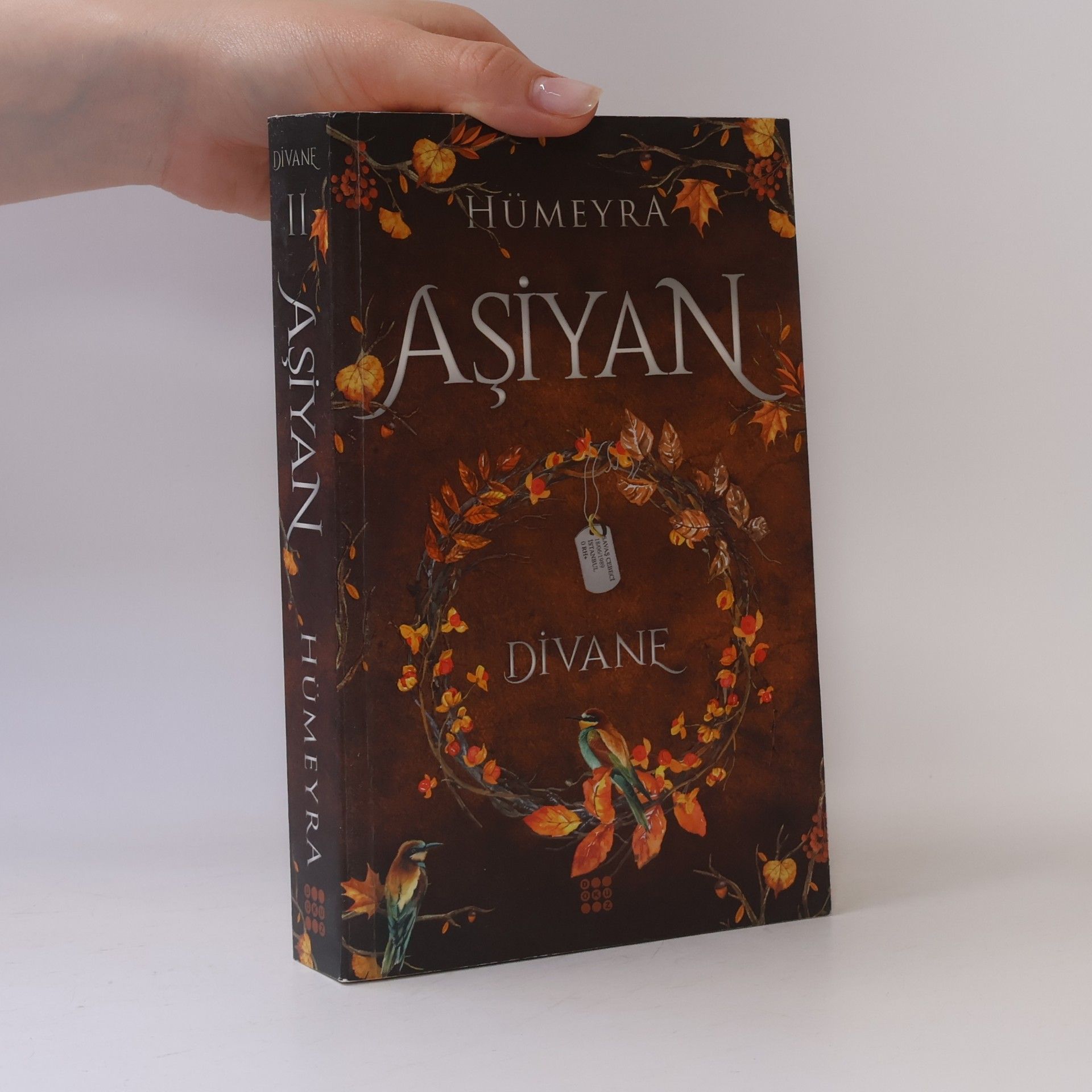 Savaş Cebeci Divane - 2: Aşiyan