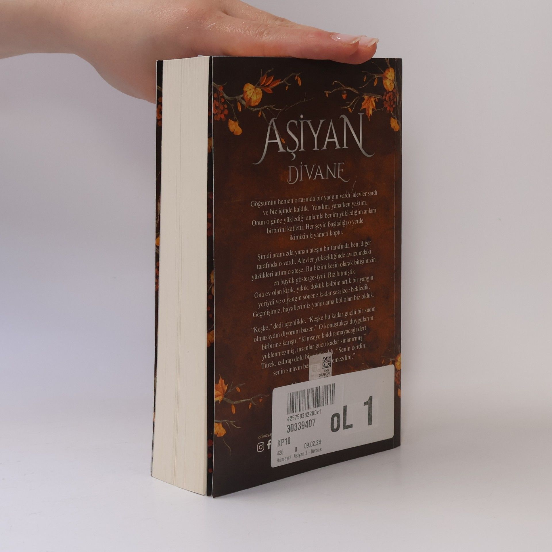 Hümeyra Özalp Konyar Divane - 2: Aşiyan