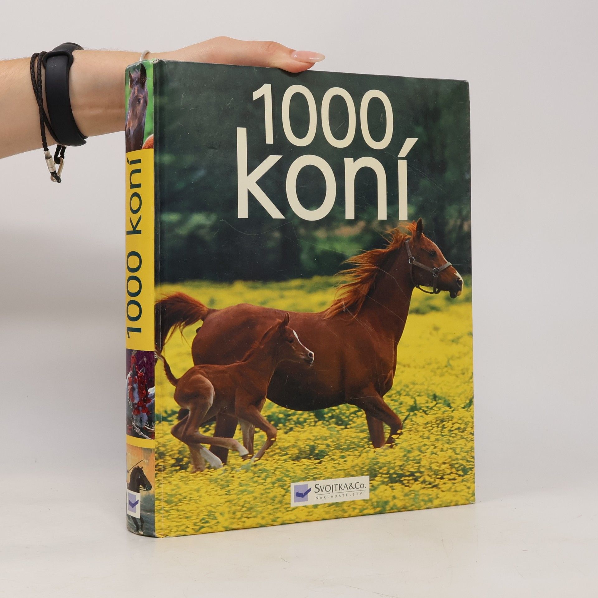 Ulrike Schöber 1000 koní