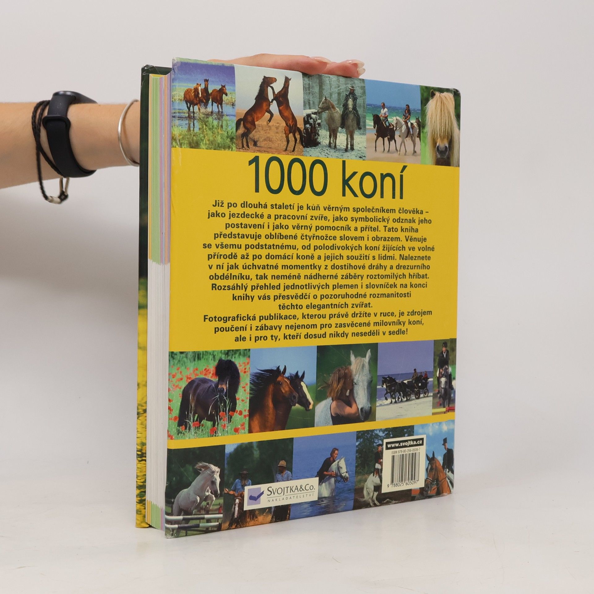 Ulrike Schöber 1000 koní