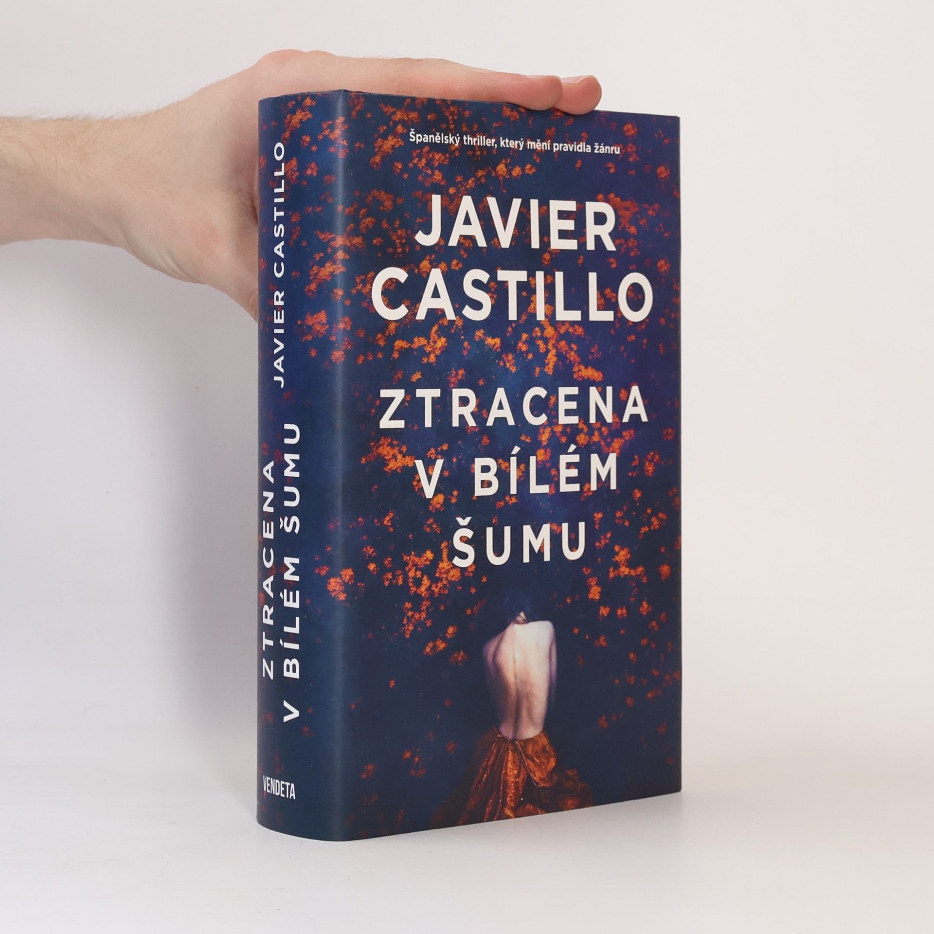 Javier Castillo Ztracena v bílém šumu