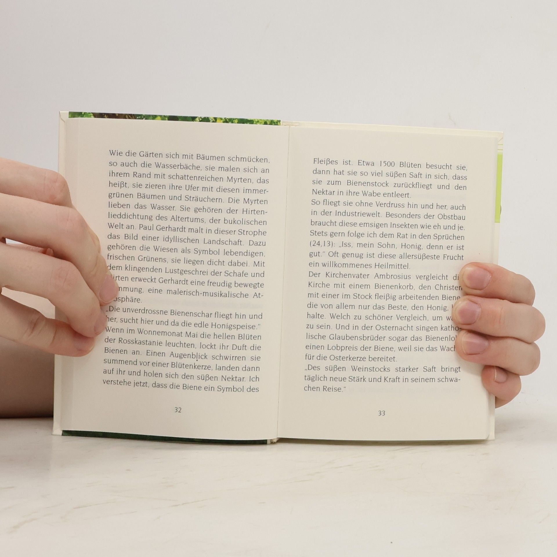 Autorenkollektiv Sommerduft für deine Seele