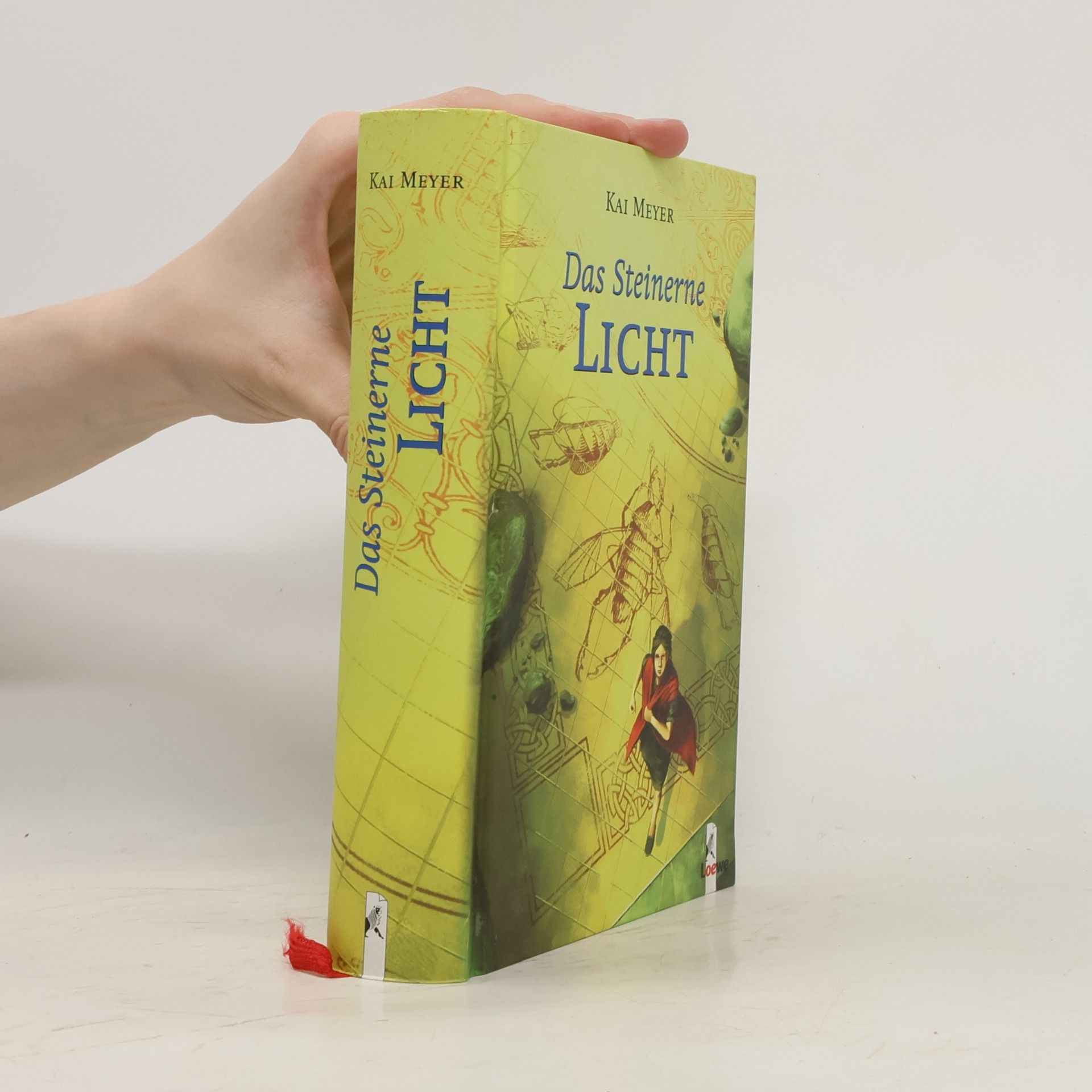 Kai Meyer Das Steinerne Licht