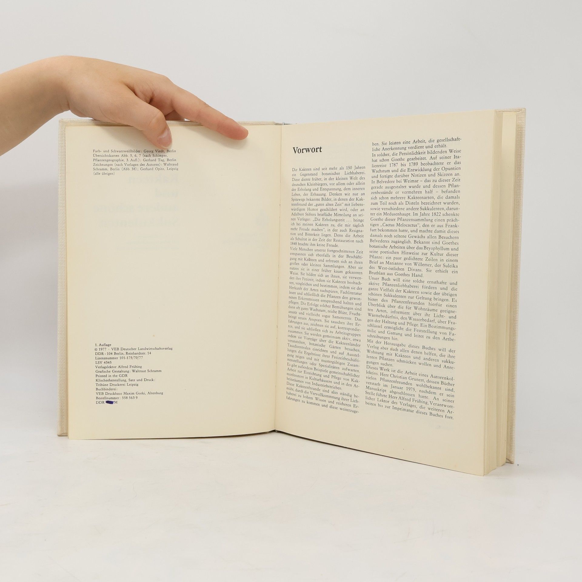 Autores varios Kakteen und andere schöne Sukkulenten