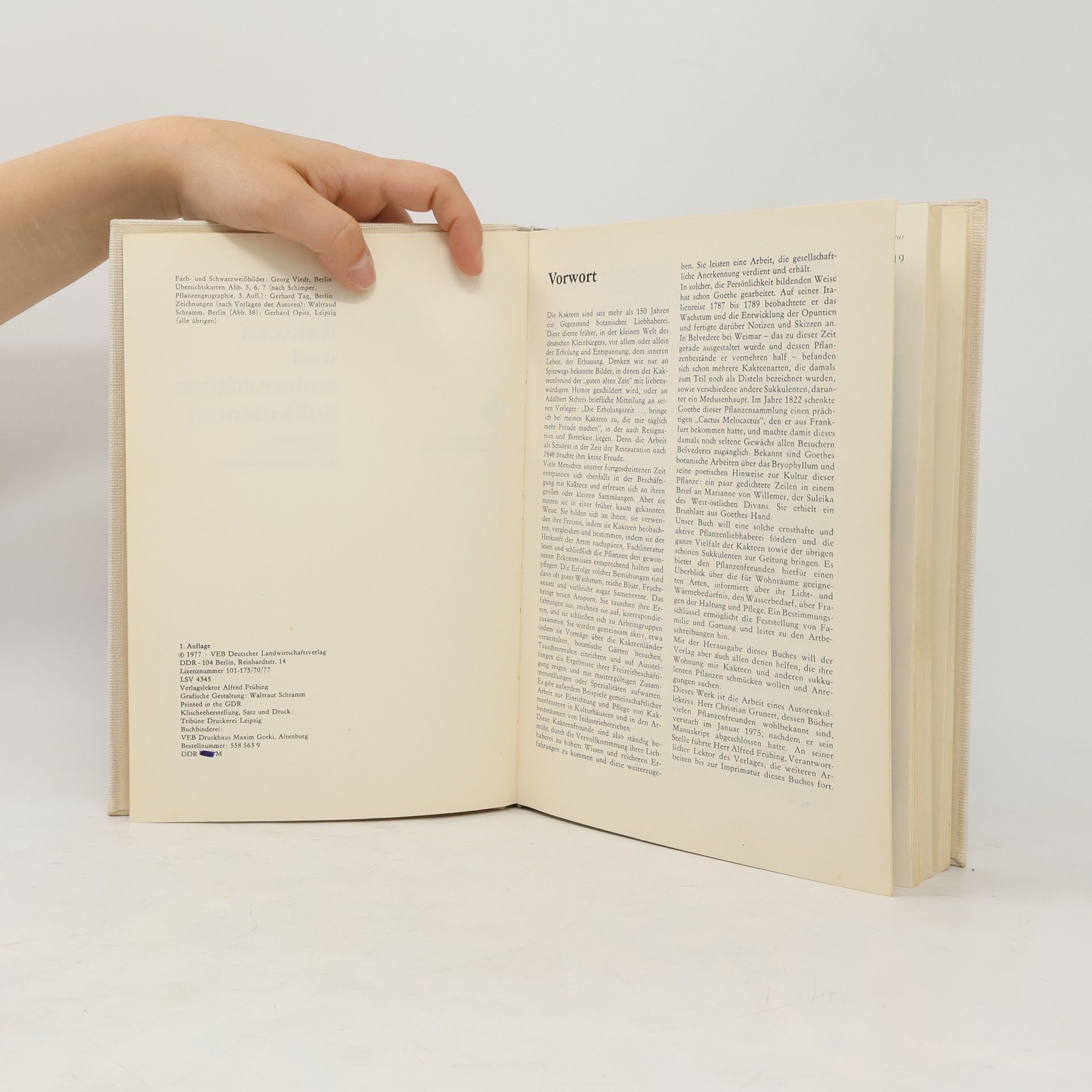 Autores varios Kakteen und andere schöne Sukkulenten