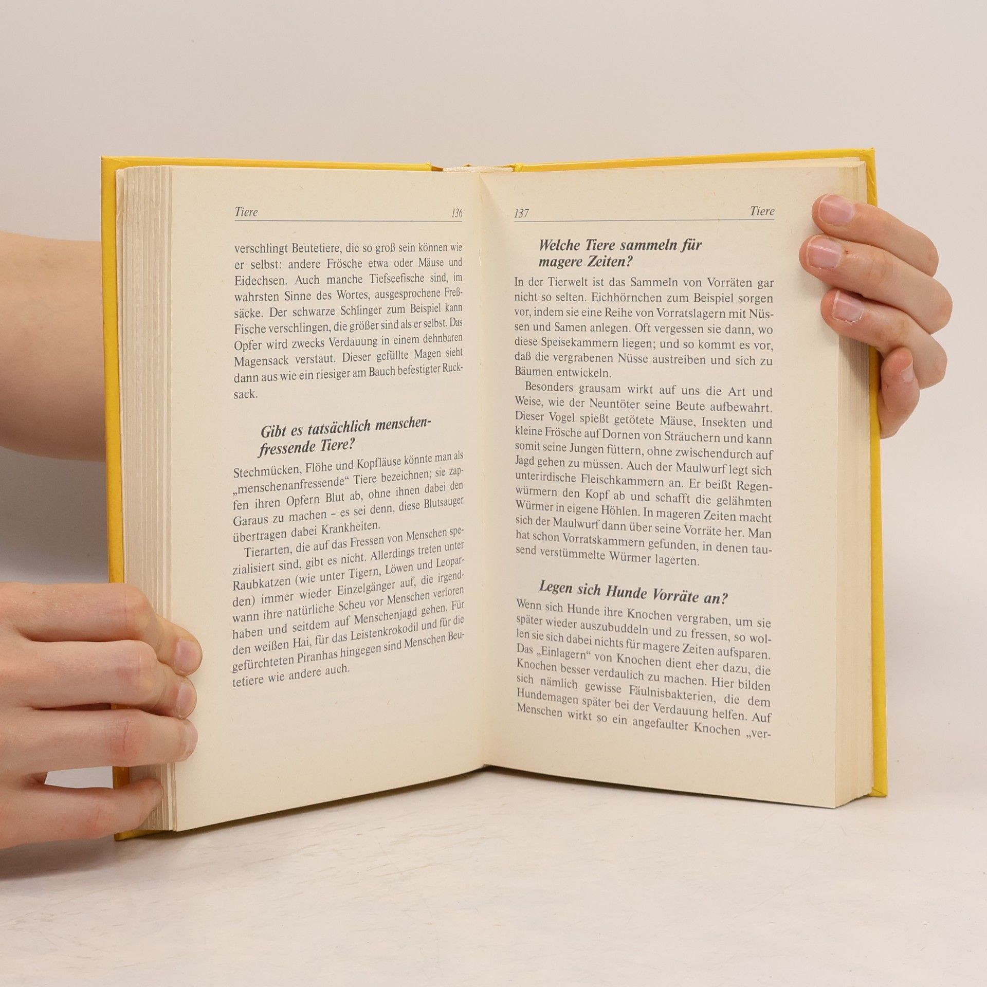 Kolektiv autorů Das Buch der 1000 Fragen und Antworten