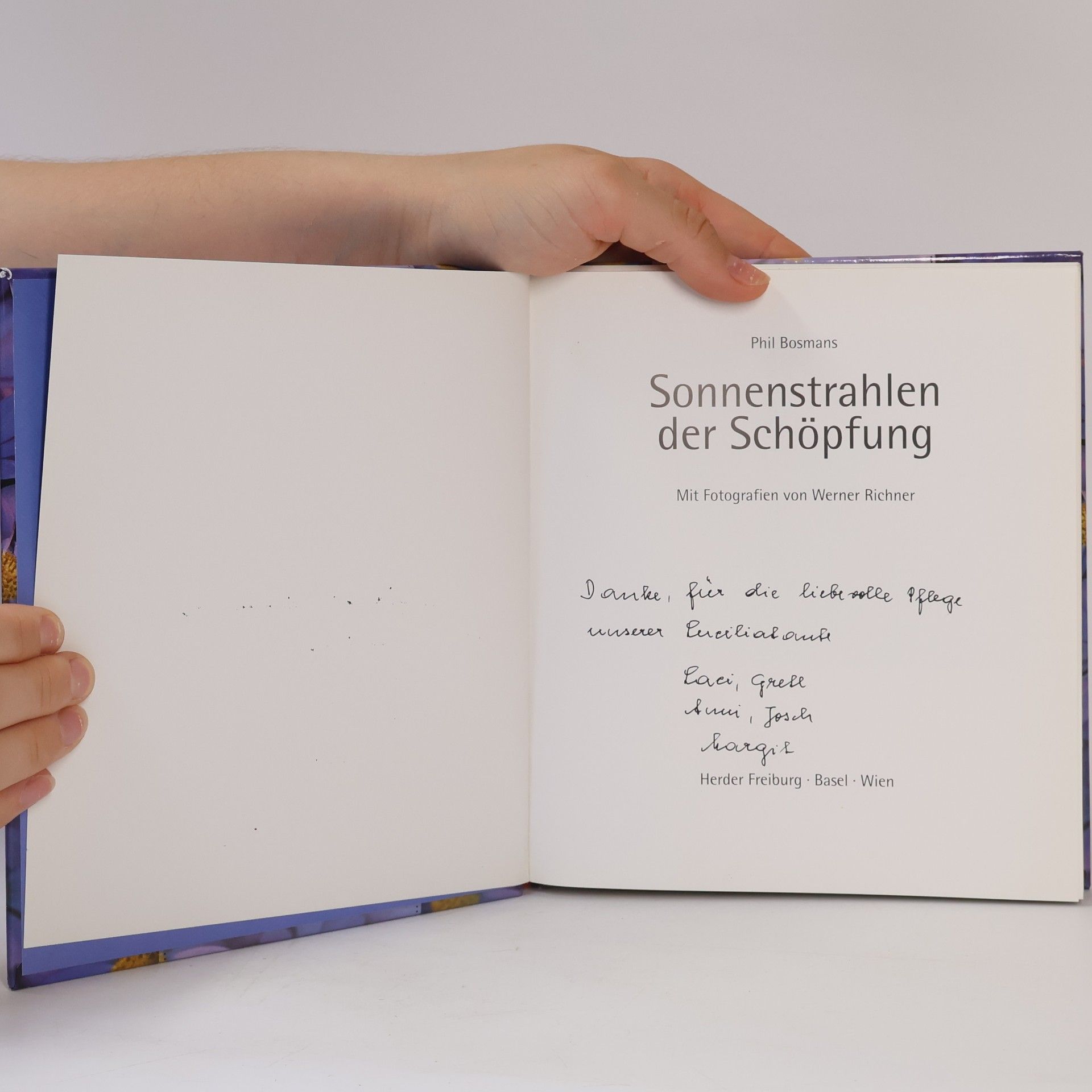 Phil Bosmans Sonnenstrahlen der Schöpfung