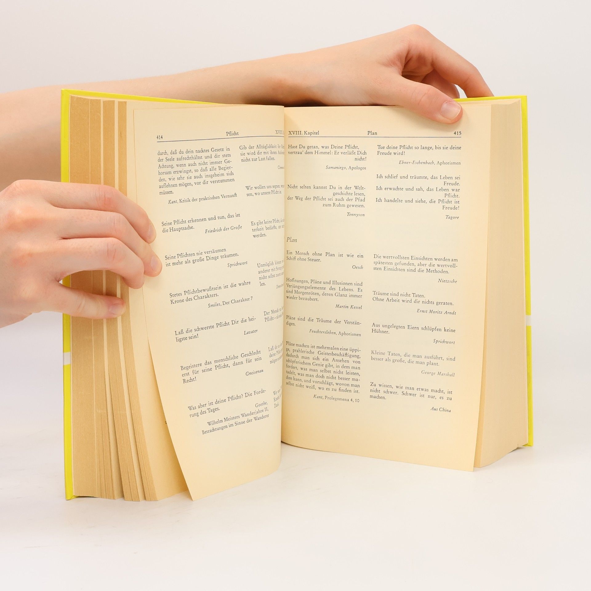 Kolektiv autorů Großes Zitaten-Buch
