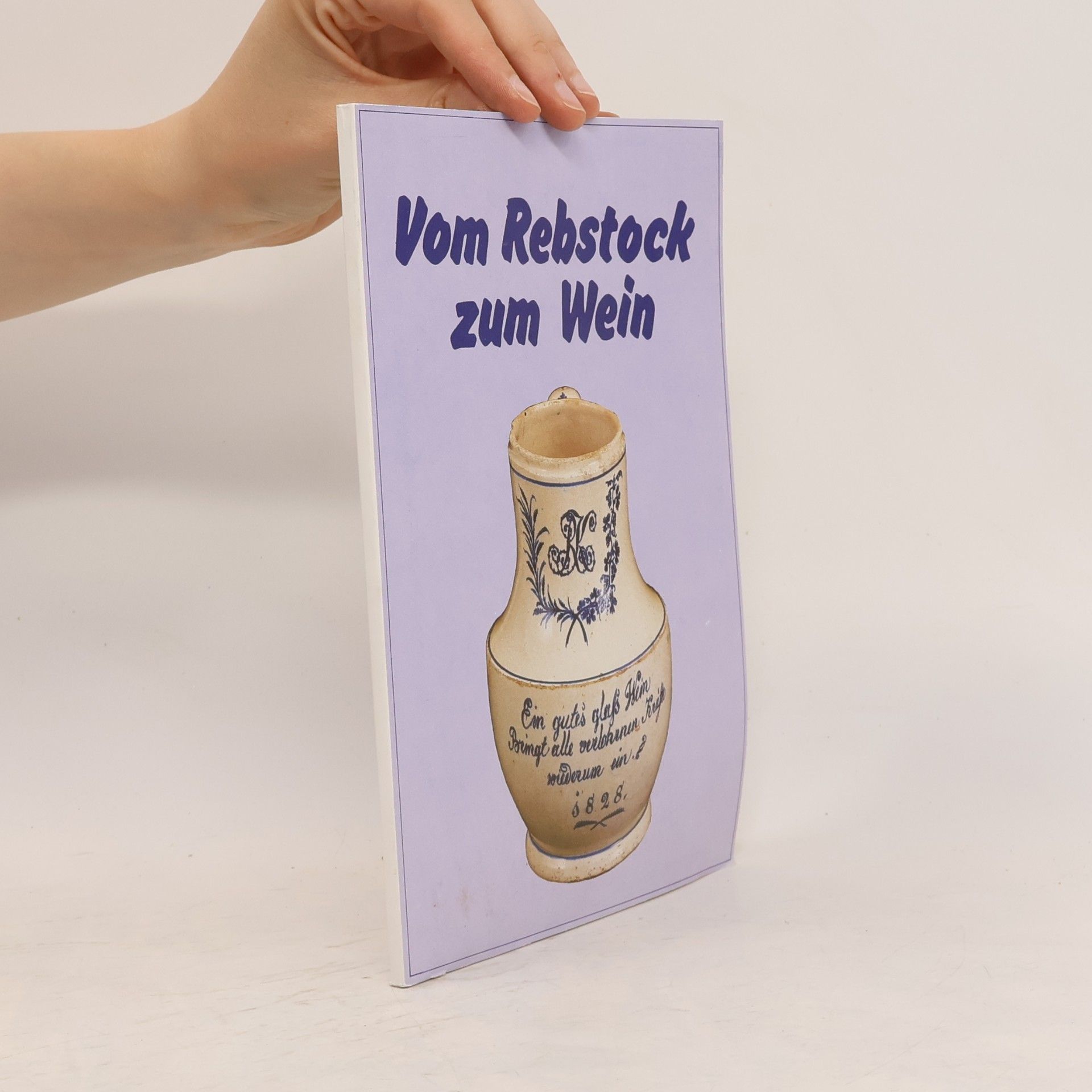 Autorenkollektiv Vom Rebstock zum Wein