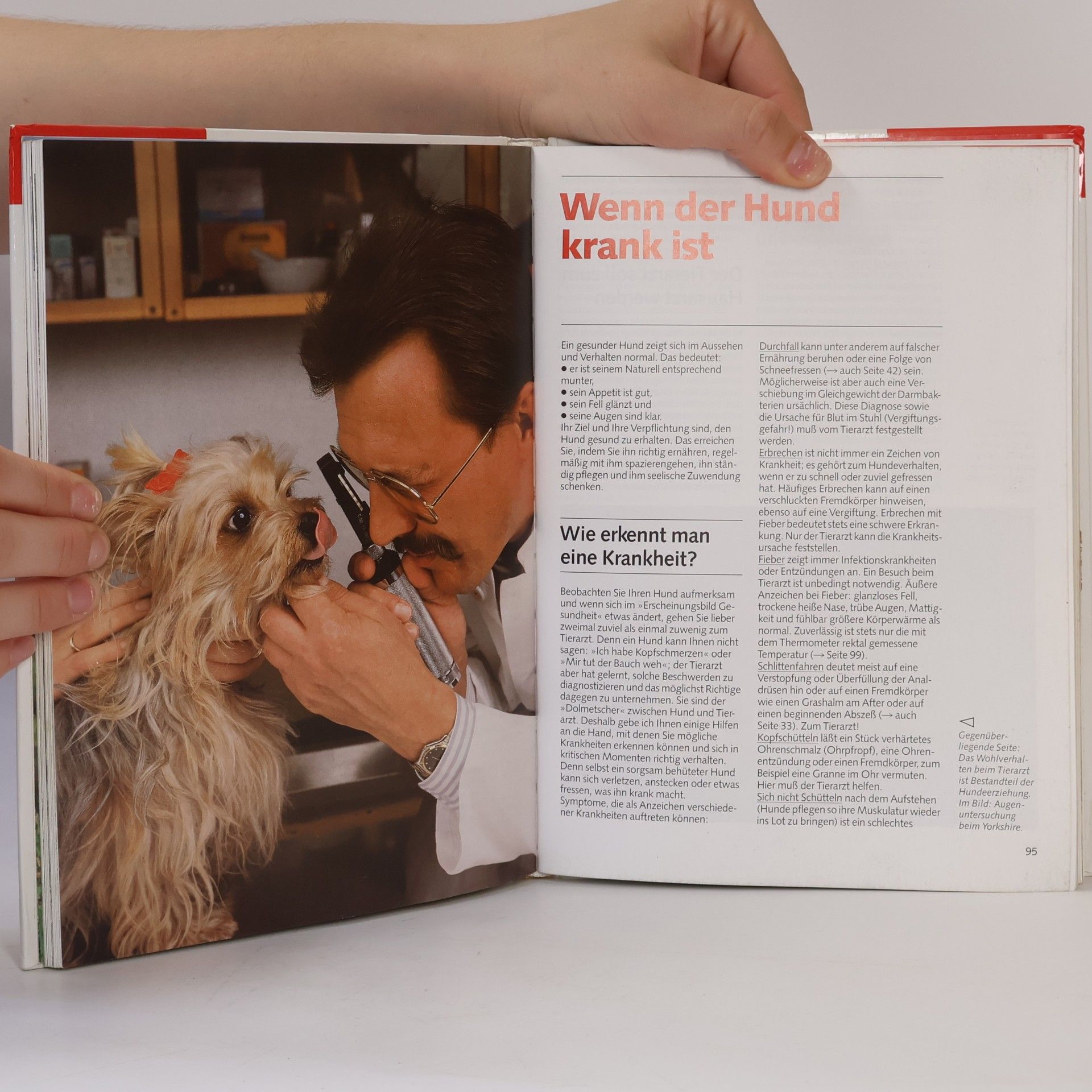 Ulrich Klever Hunde