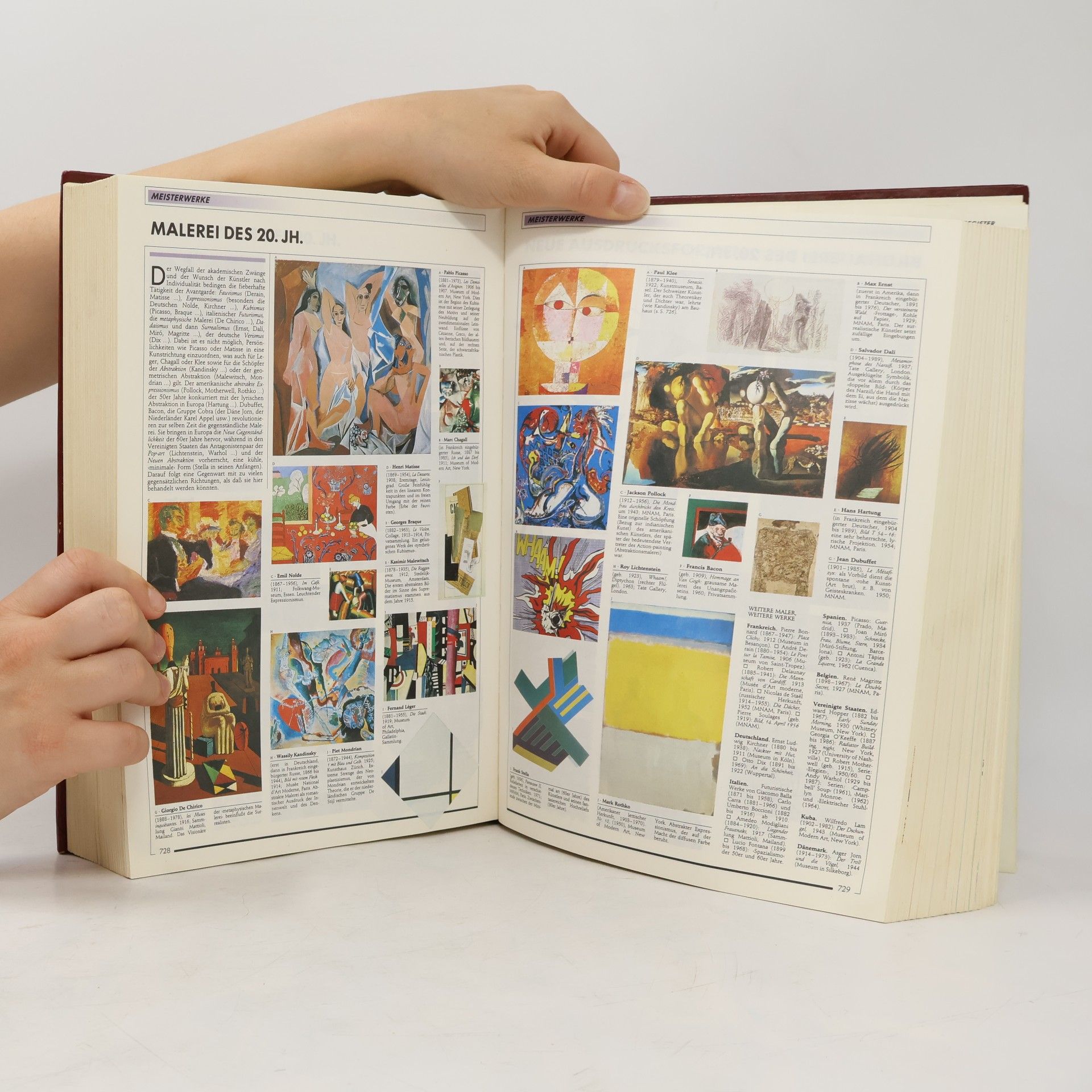 Das große Buch des Allgemeinwissens