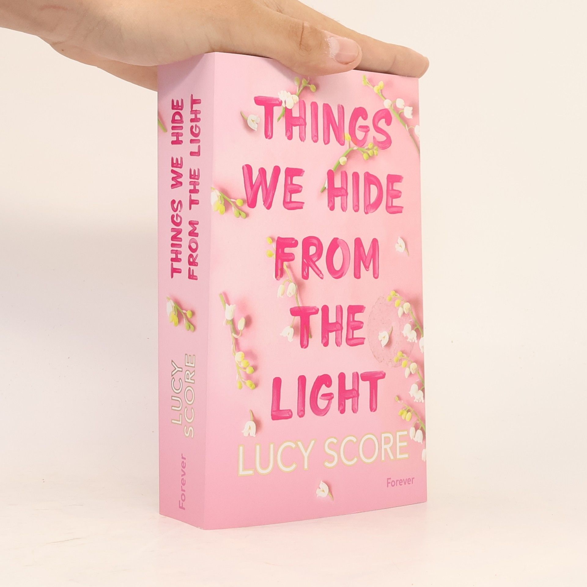 Lucy Score Things We Hide From The Light (Knockemout 2)