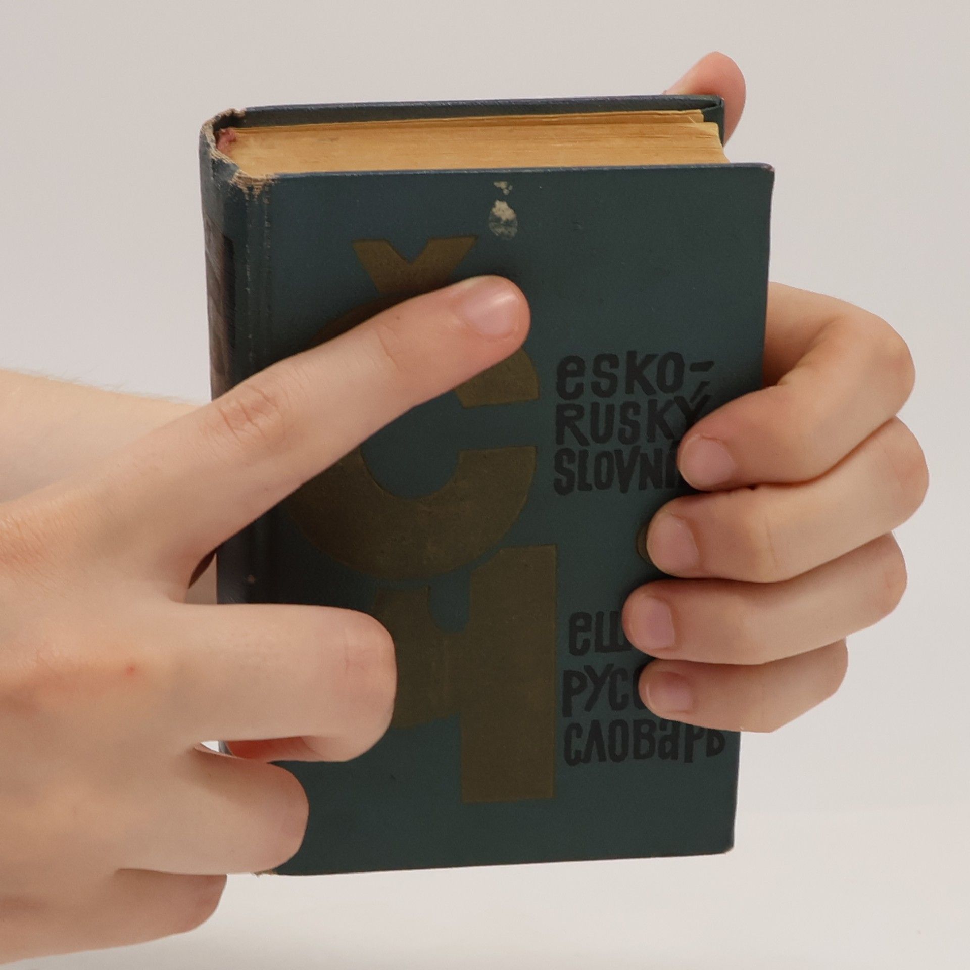Kolektiv autorů Česko-ruský slovník. Чешско-русский Словарь