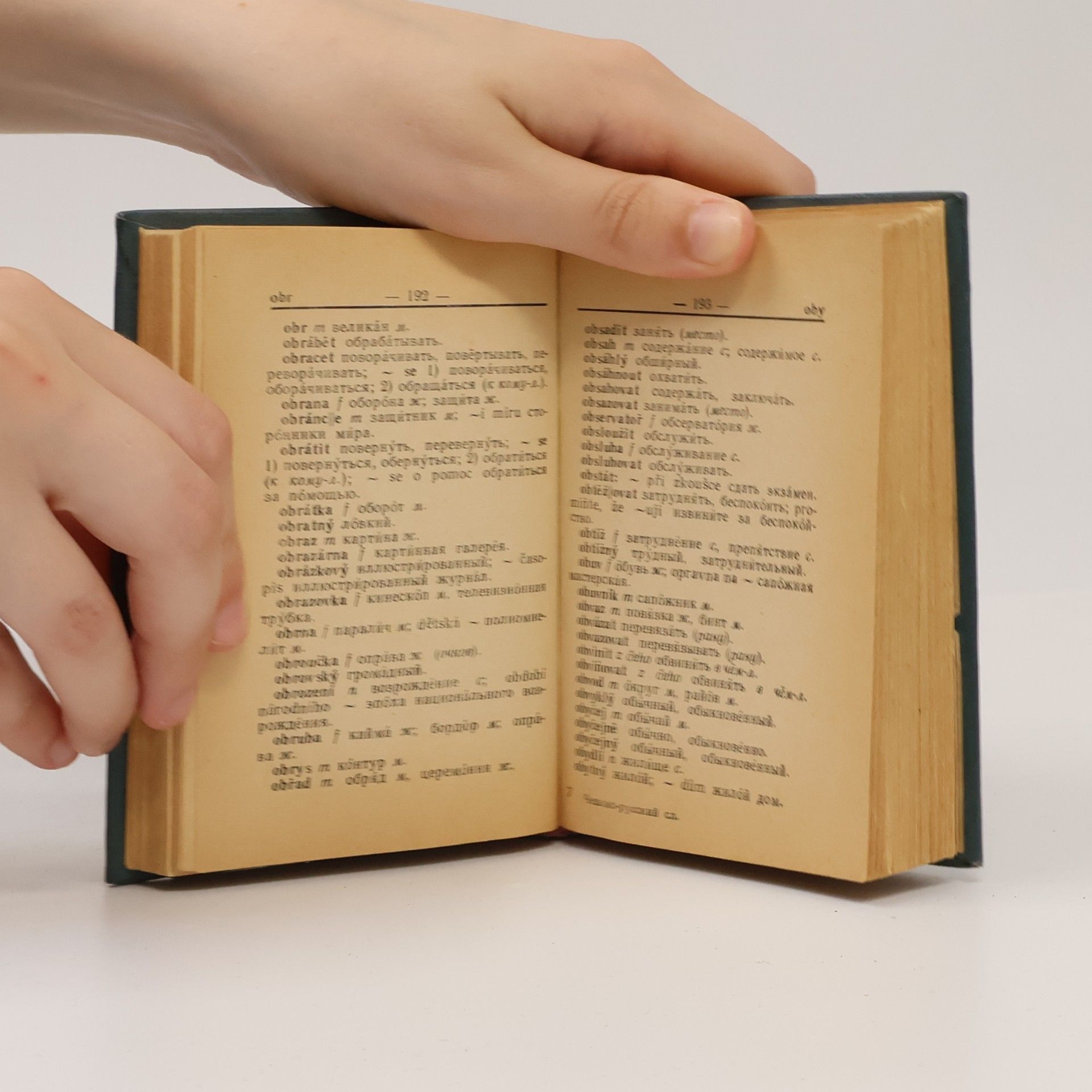 Kolektiv autorů Česko-ruský slovník. Чешско-русский Словарь