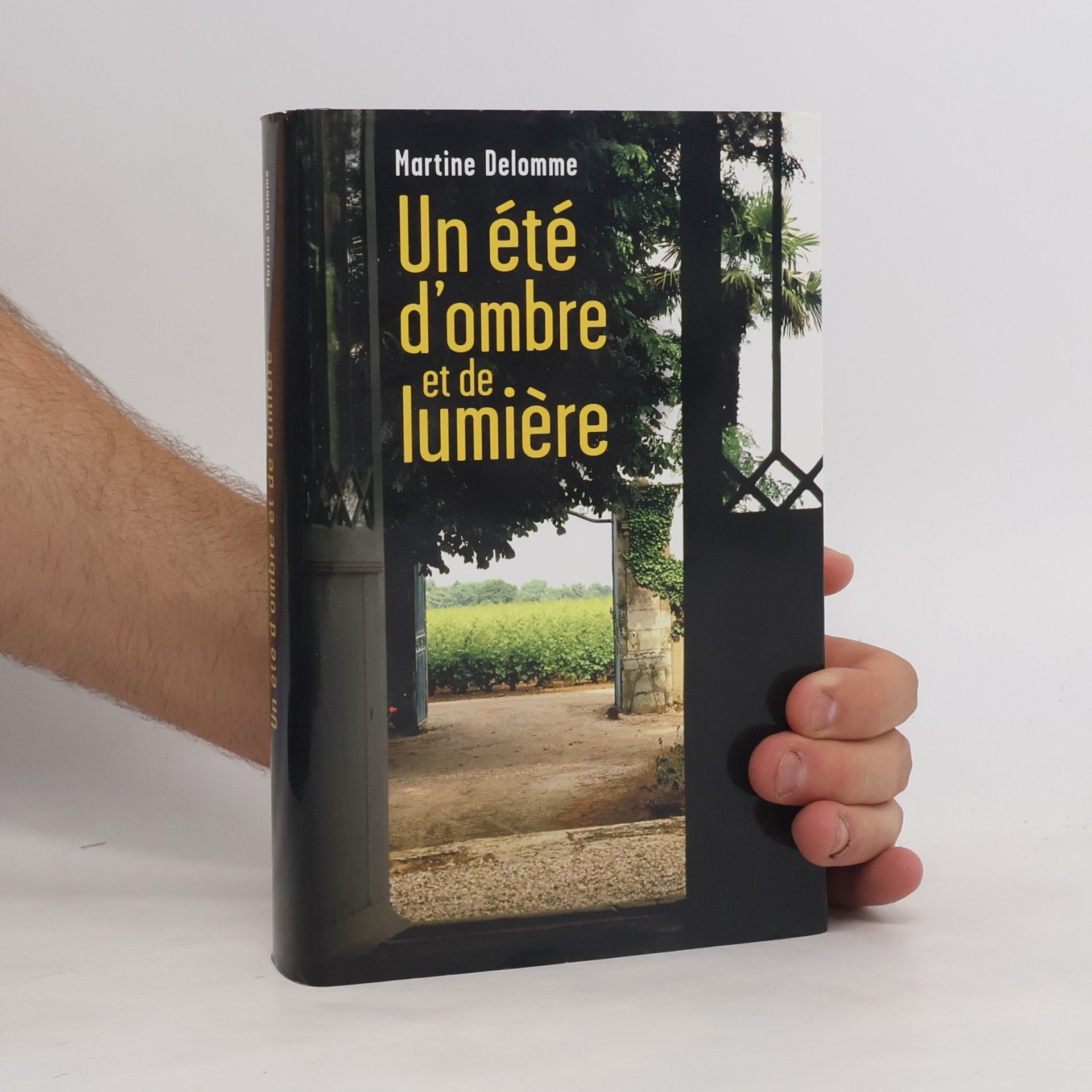 Un été d'ombre et de lumière