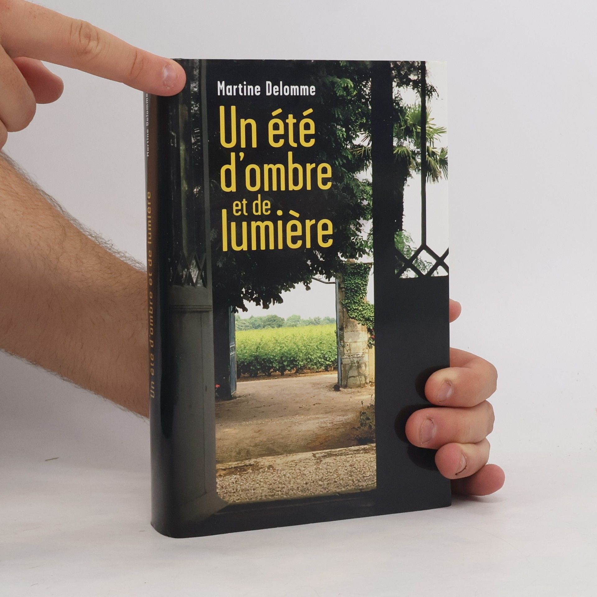 Martine Delomme Un été d'ombre et de lumière