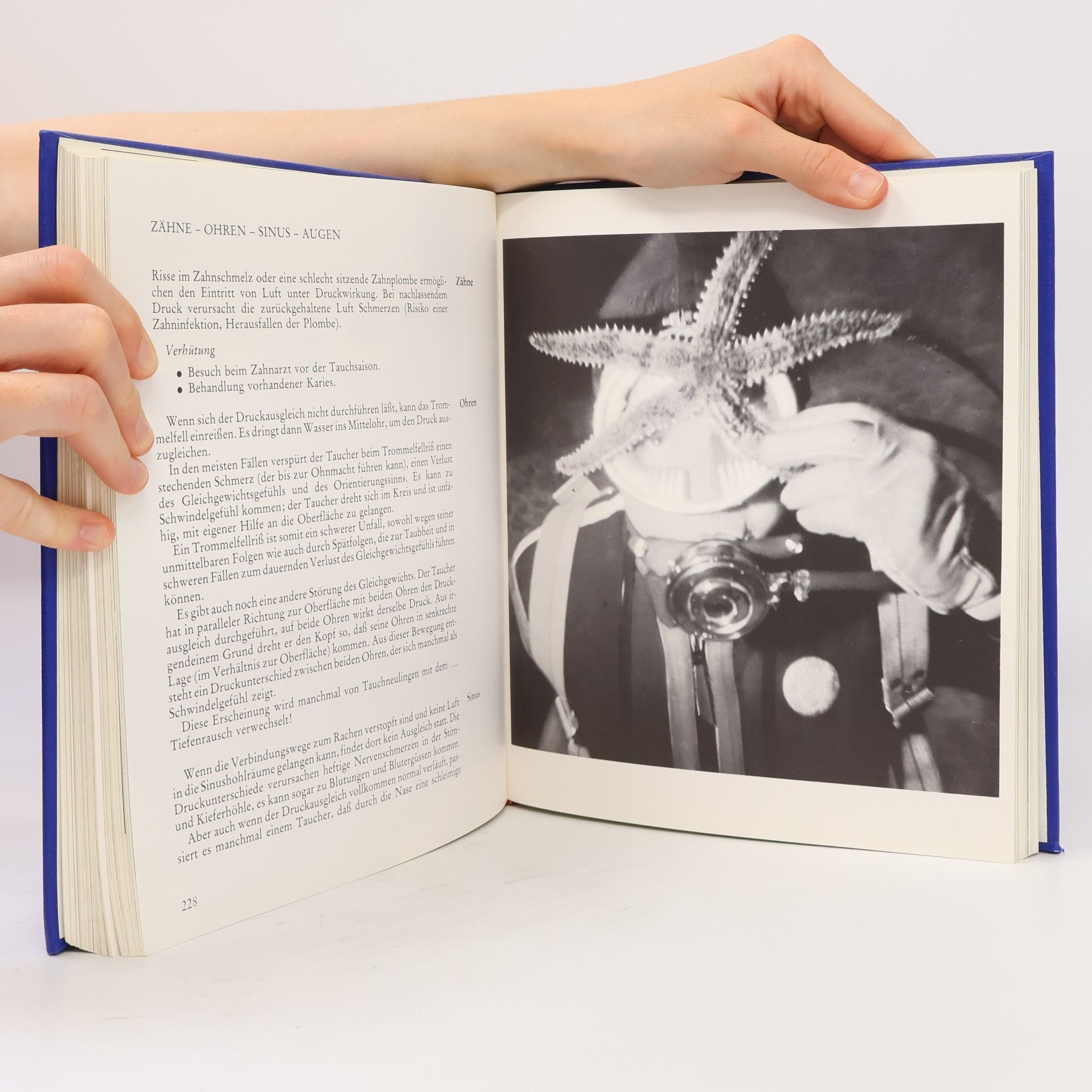 Various authors Das große Buch vom Tauchsport