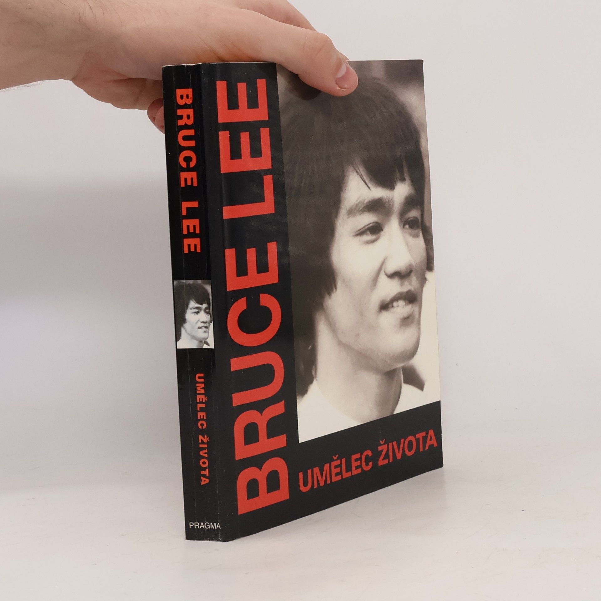 John R. Little Bruce Lee, umělec života