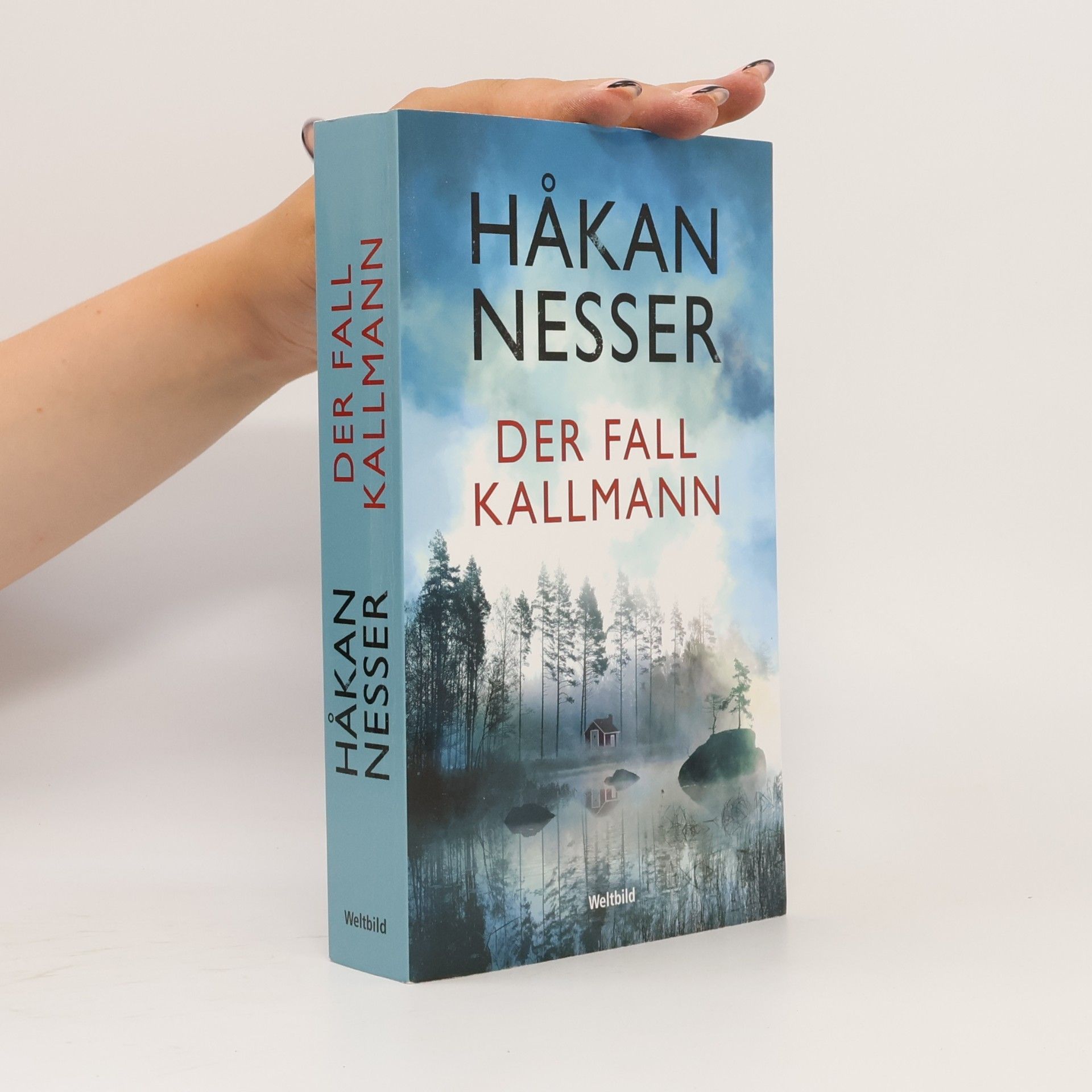 Håkan Nesser Der Fall Kallmann