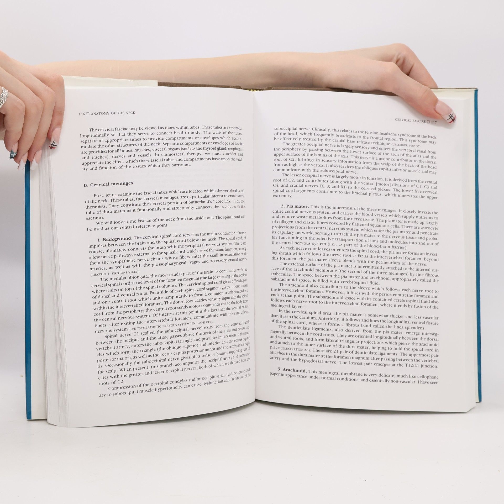 John E. Upledger Craniosacral Therapy II