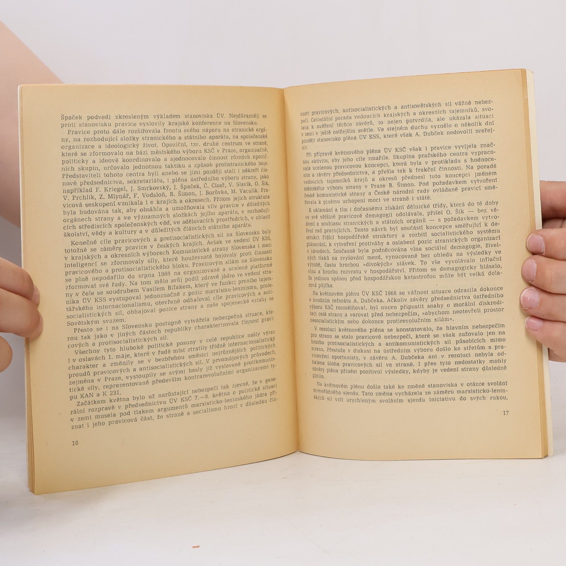 Various authors Poučení z krizového vývoje ve straně a společnosti po XIII. sjezdu KSČ
