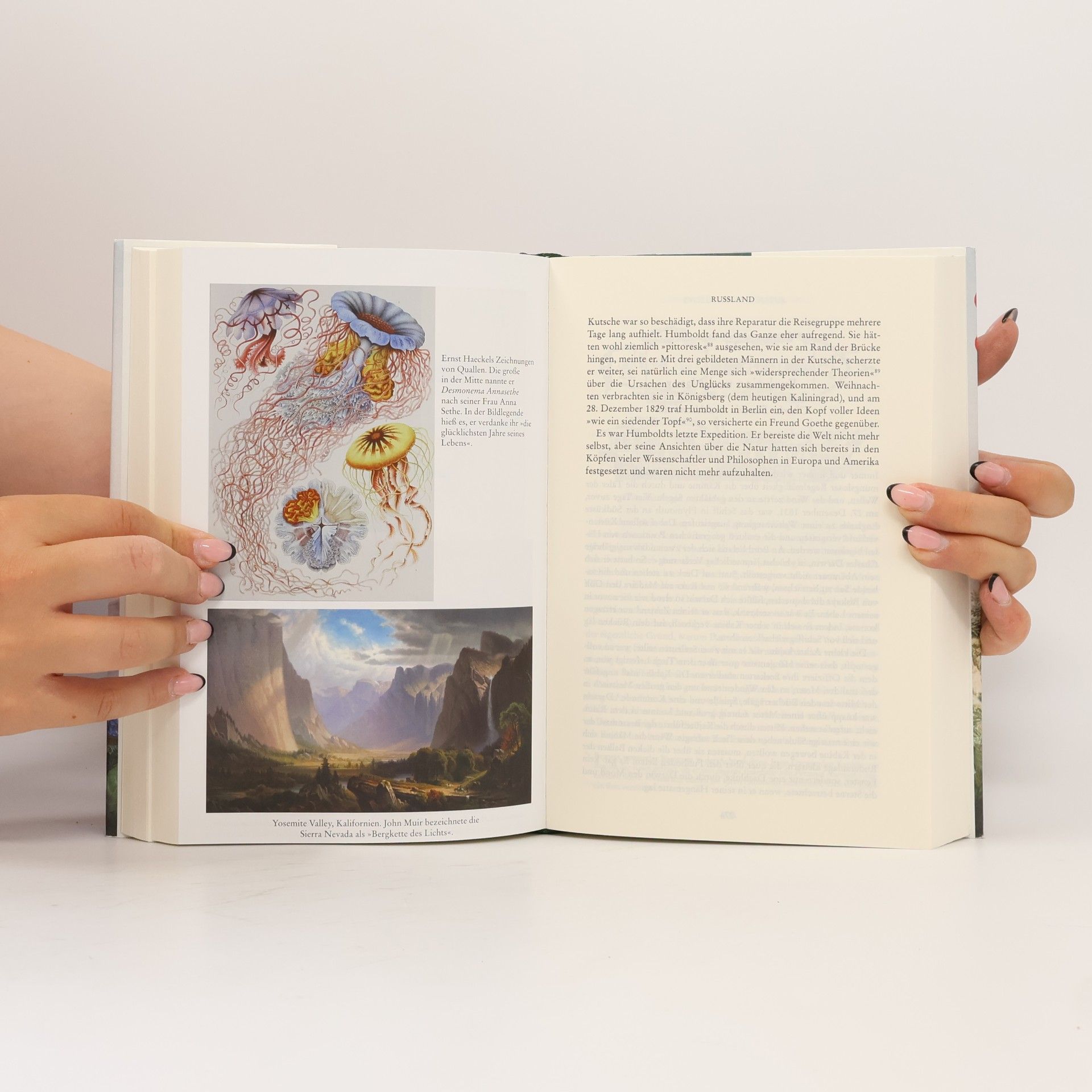 Andrea Wulf Alexander von Humboldt und die Erfindung der Natur