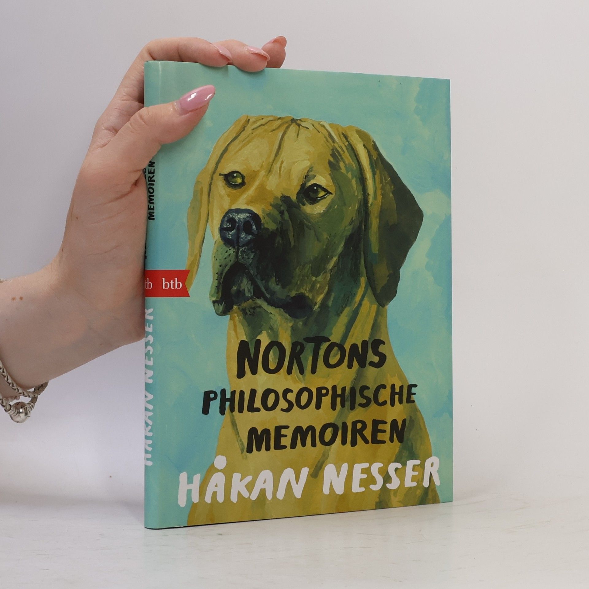 Norton Kierkegaard Nortons philosophische Memoiren
