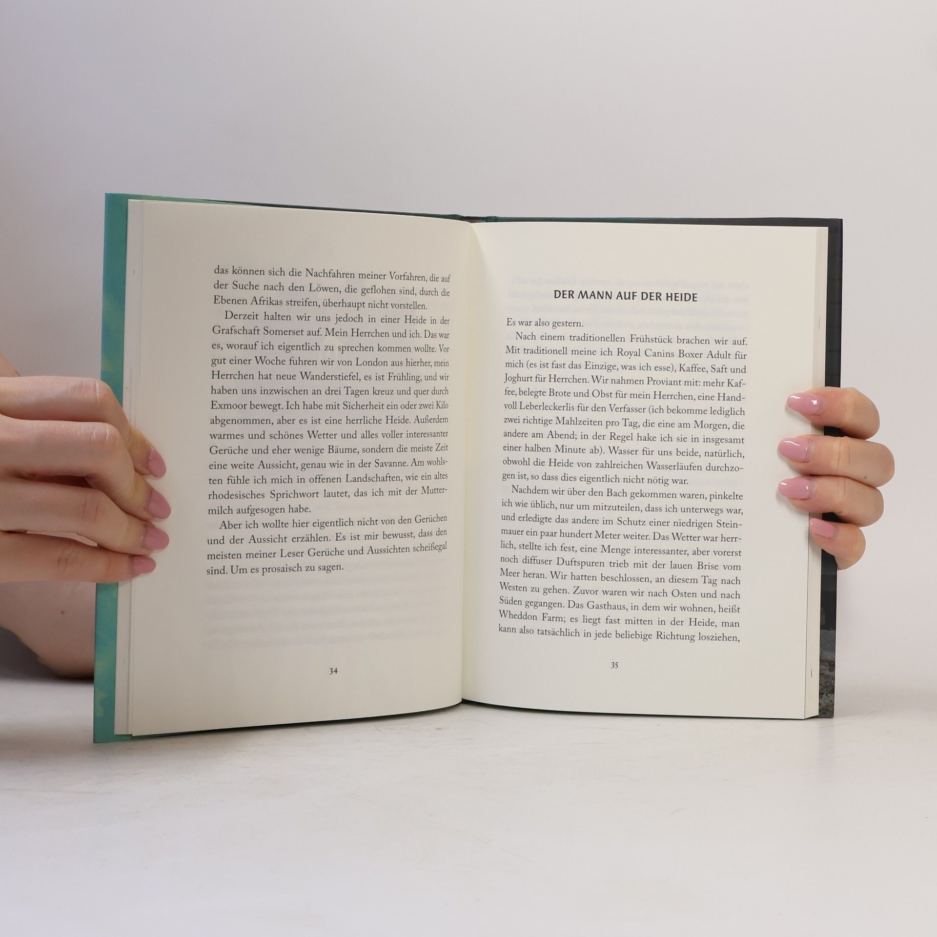 Norton Kierkegaard Nortons philosophische Memoiren