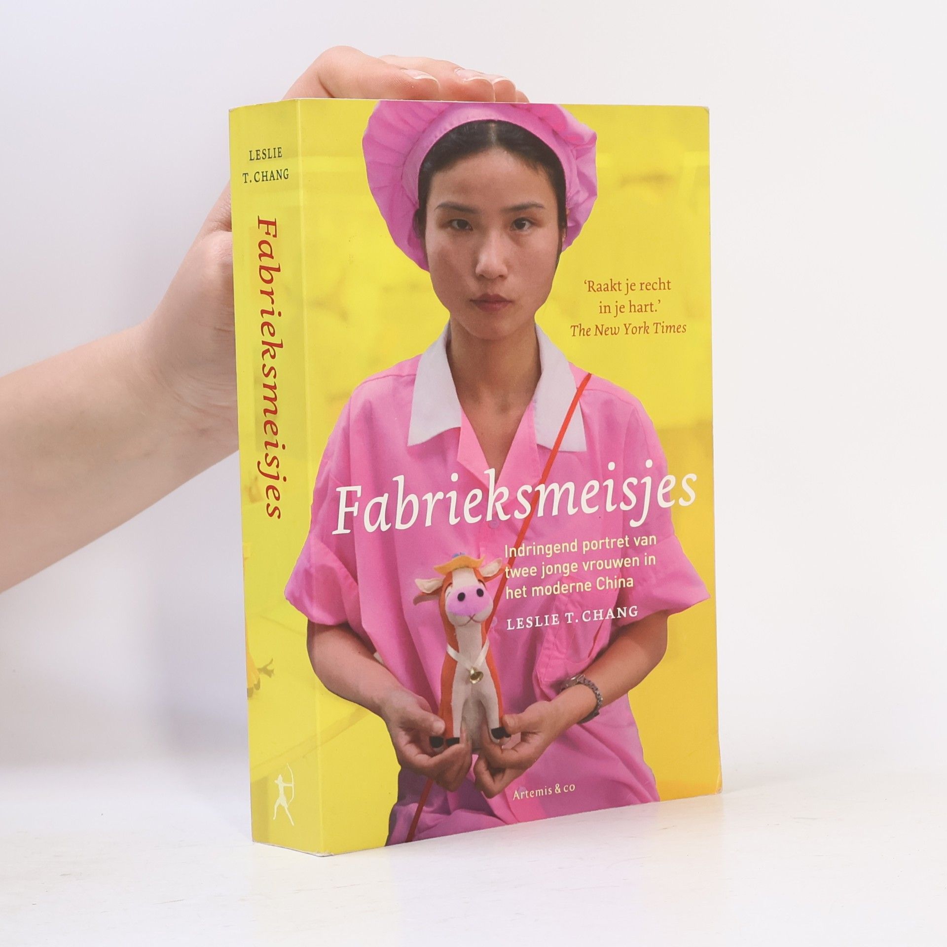 Leslie T. Chang Fabrieksmeisjes: indringend portret van twee jonge vrouwen in het moderne China
