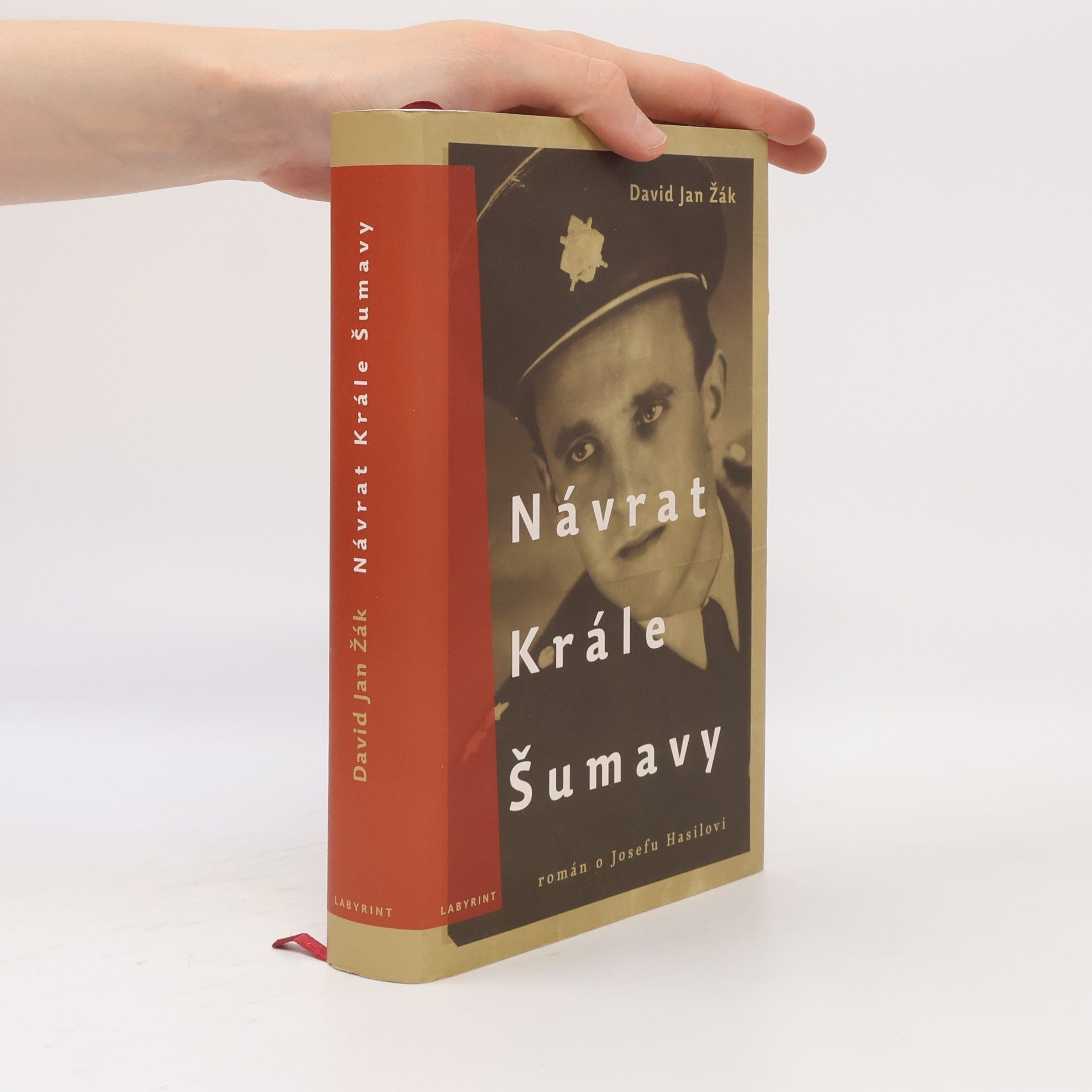 David Jan Žák Návrat Krále Šumavy