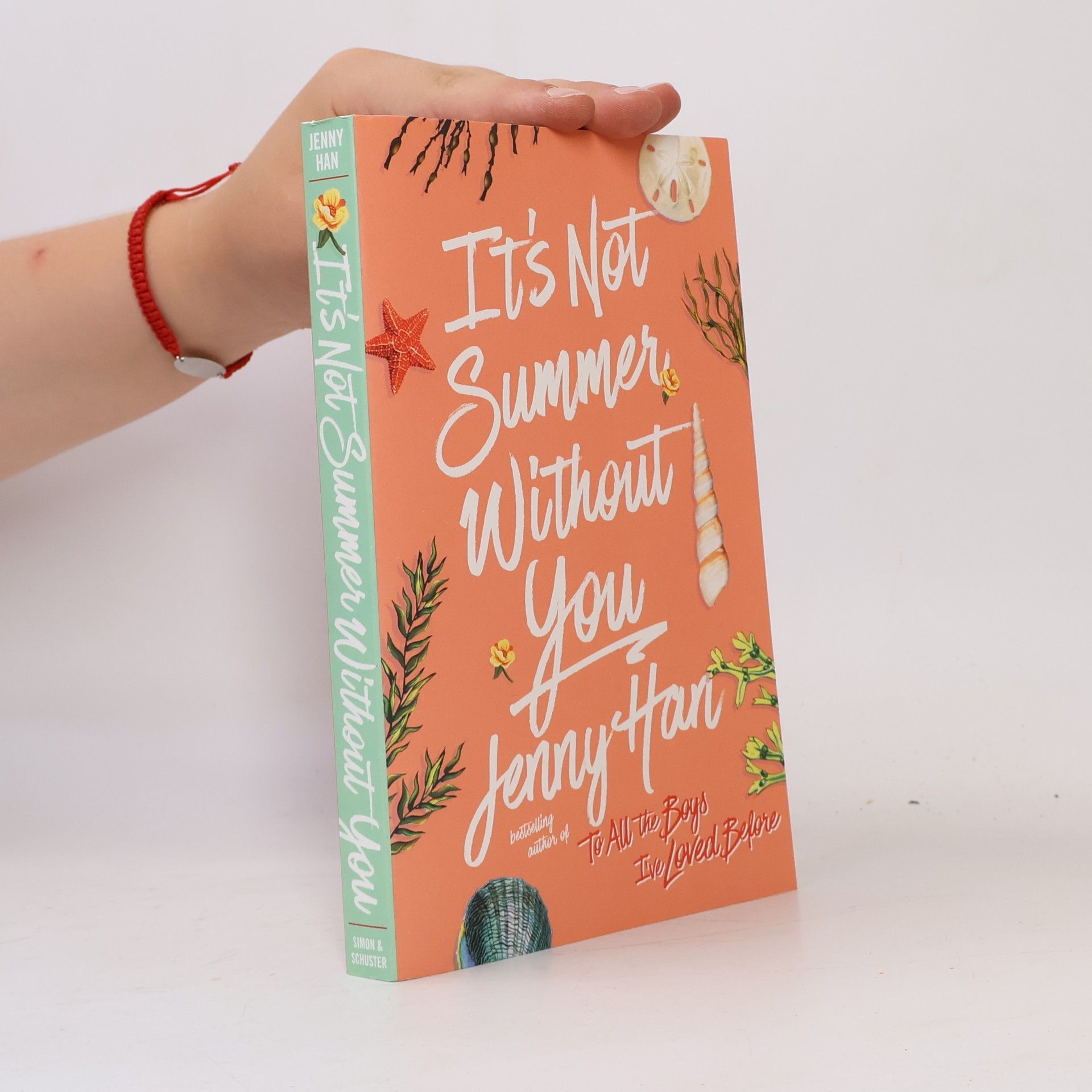 Jenny Han It's Not Summer Without You