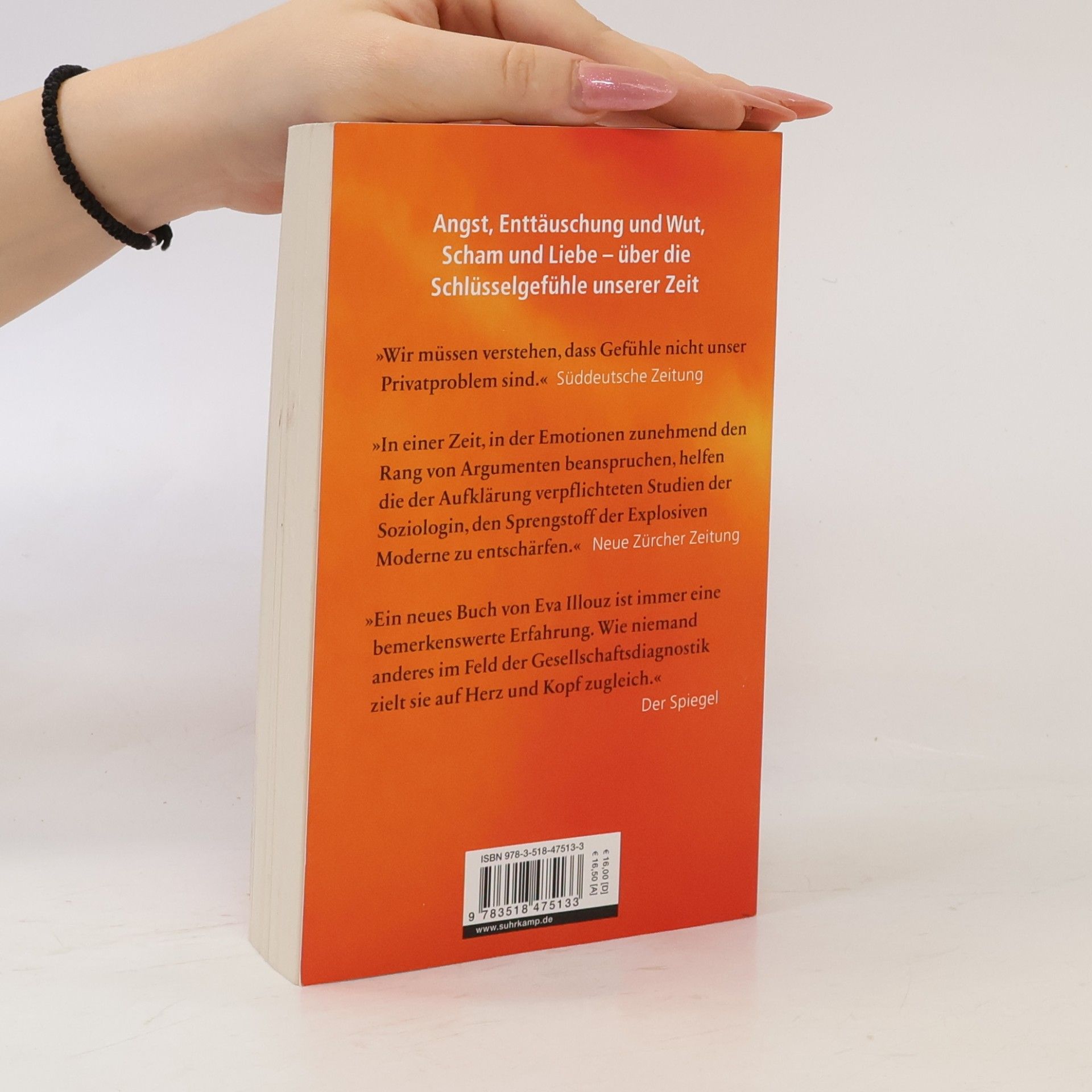 Eva Illouz Explosive Moderne