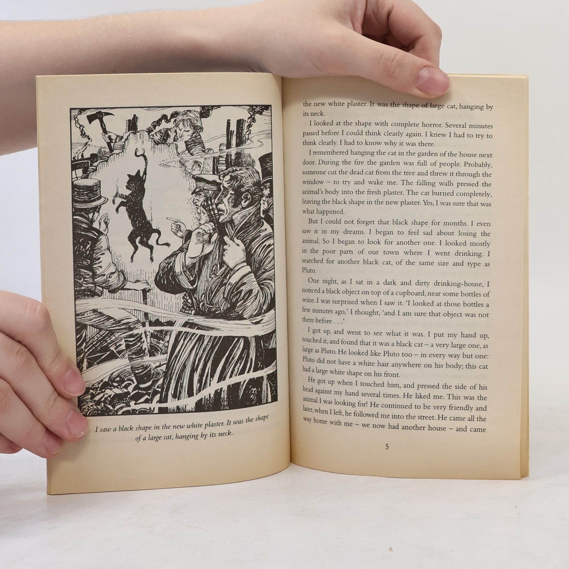 Edgar Allan Poe The black cat and other stories