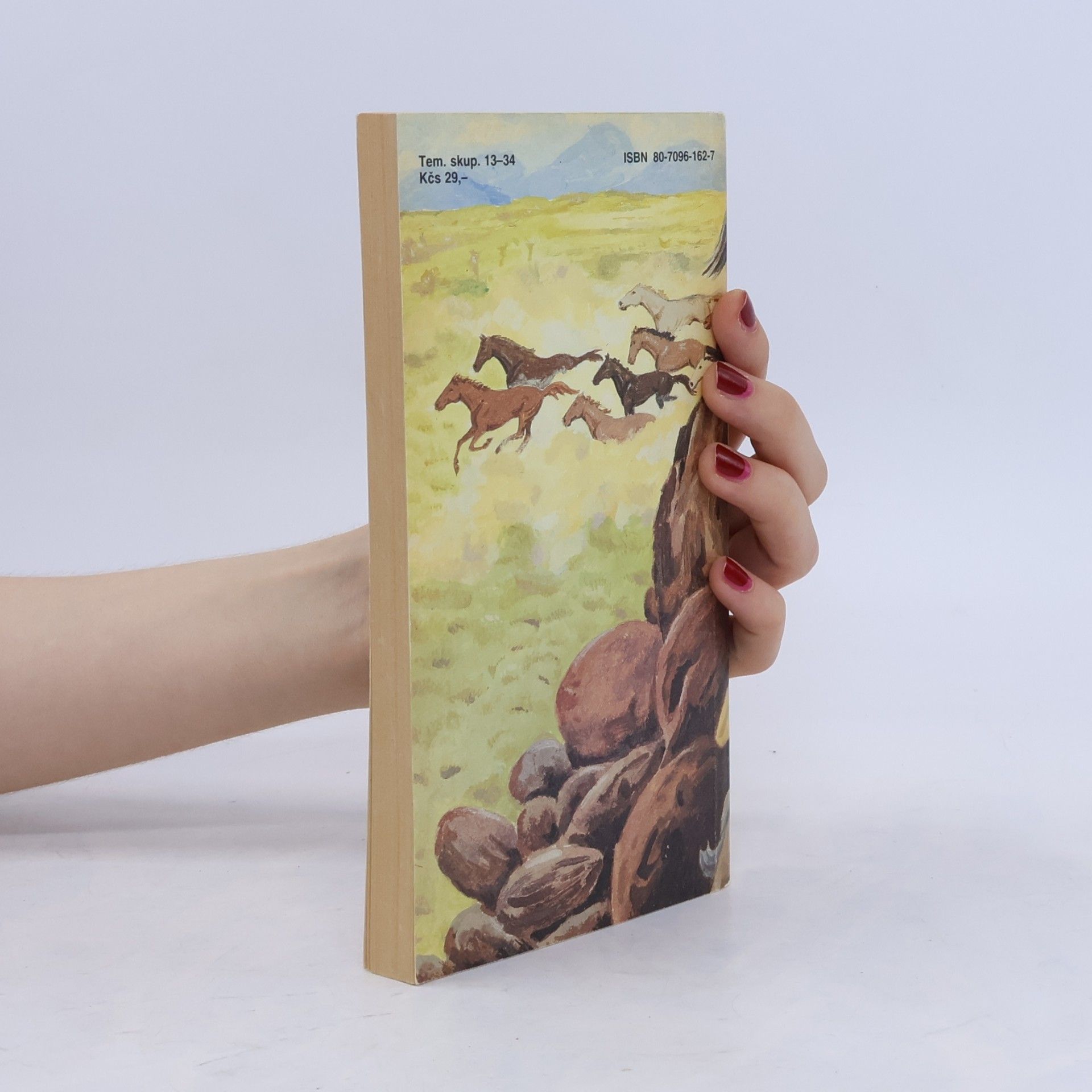 Zane Grey Údolie divokých koní